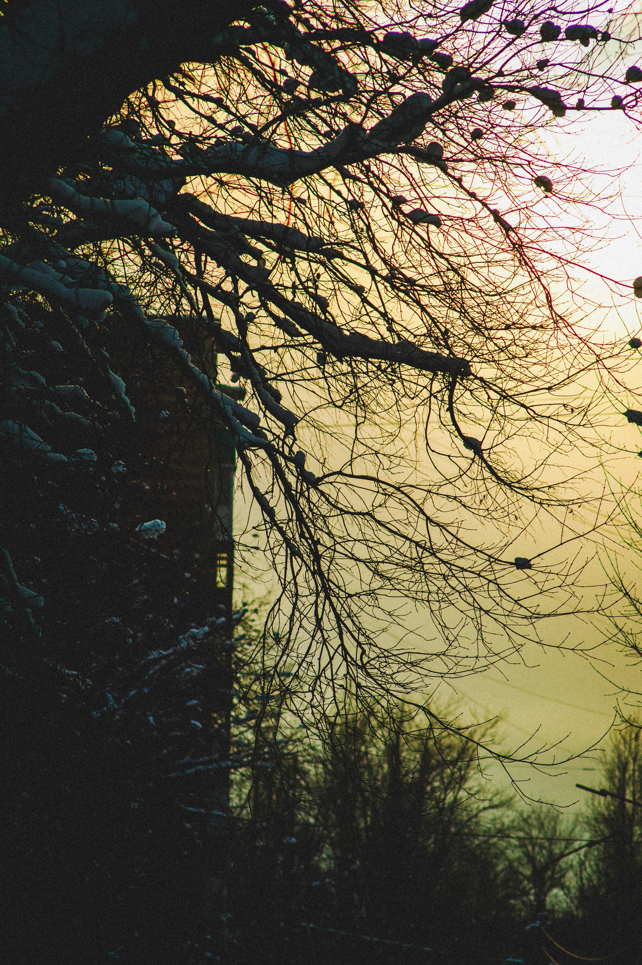 Обед. Den Mirov — Фотограф, Музыкант