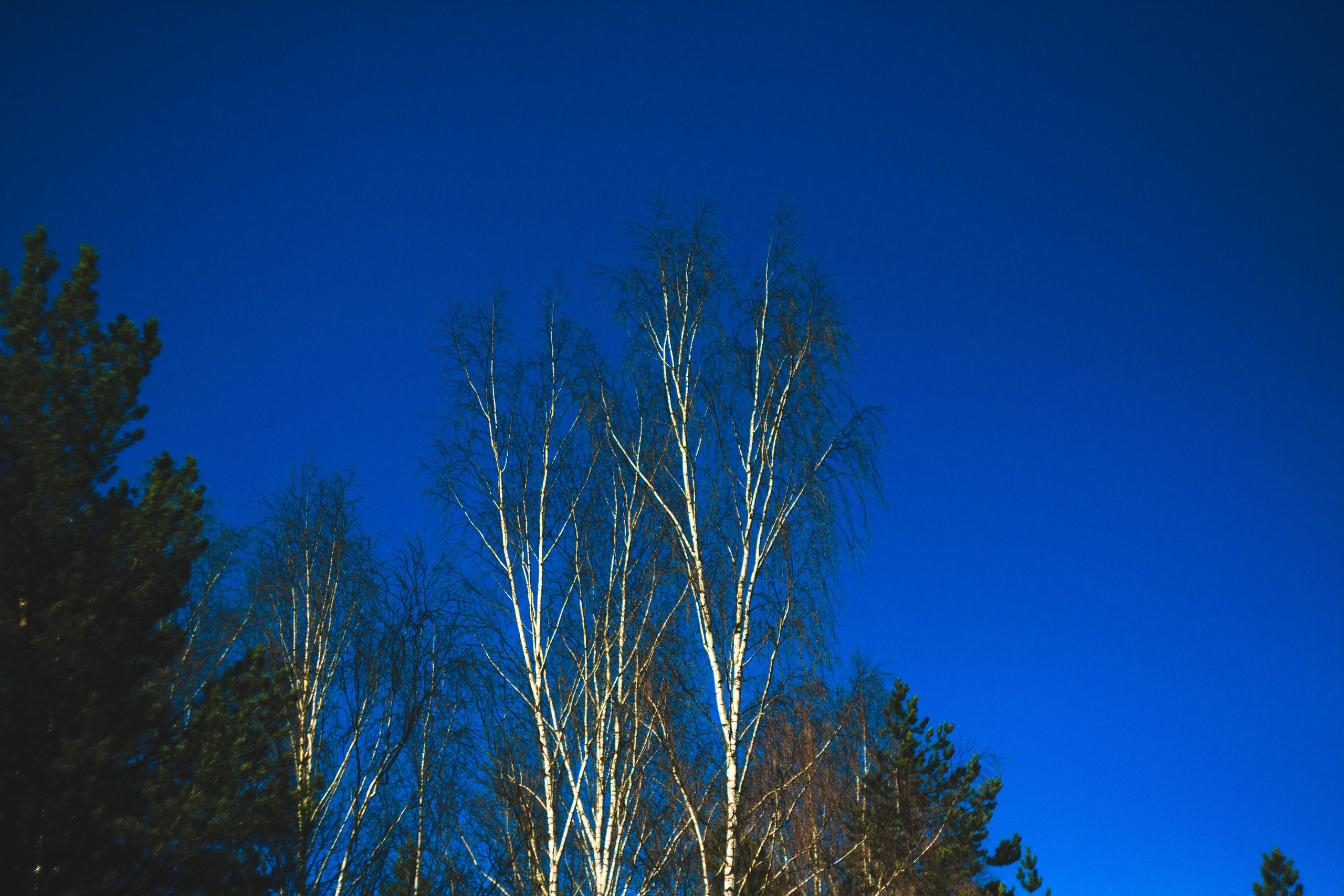 Пара… ПараПам. Den Mirov — Фотограф, Музыкант