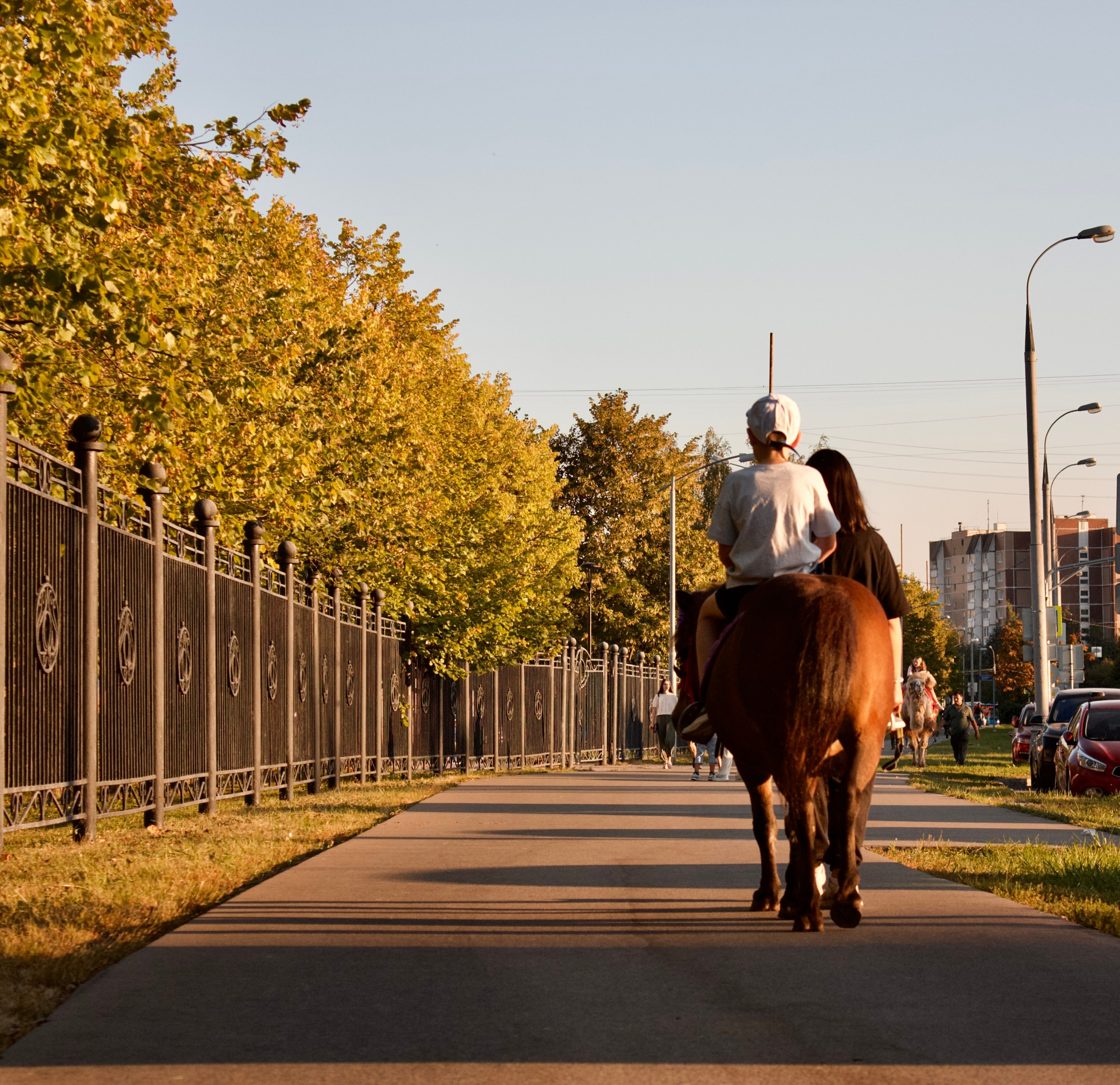 Детская. KUPINИ | ФОТО — сайт портфолио по мультижанровой съёмке | фотограф Сергей Мар