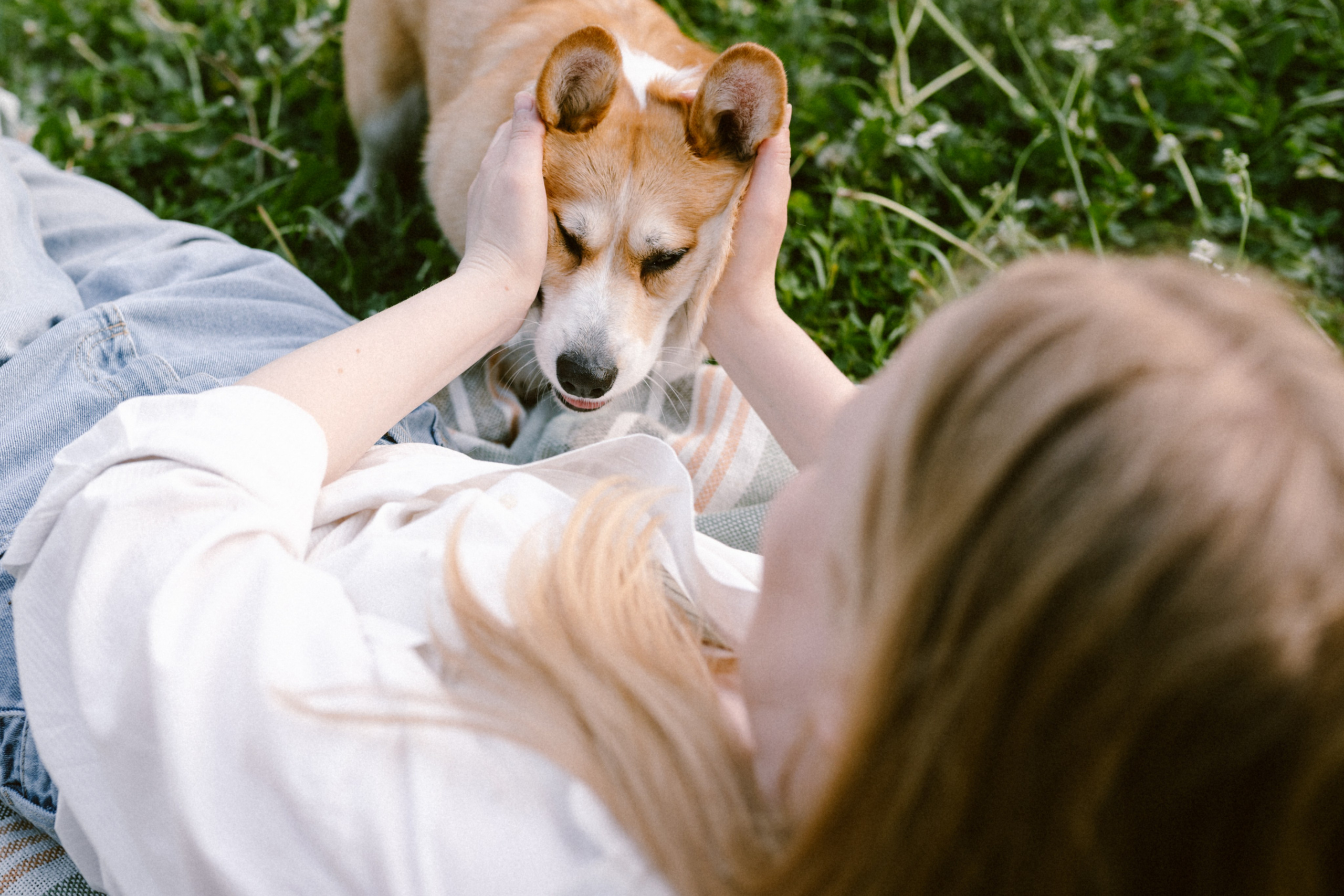 Настя и её семья. Фотограф анималист в Москве Ольга Агушева