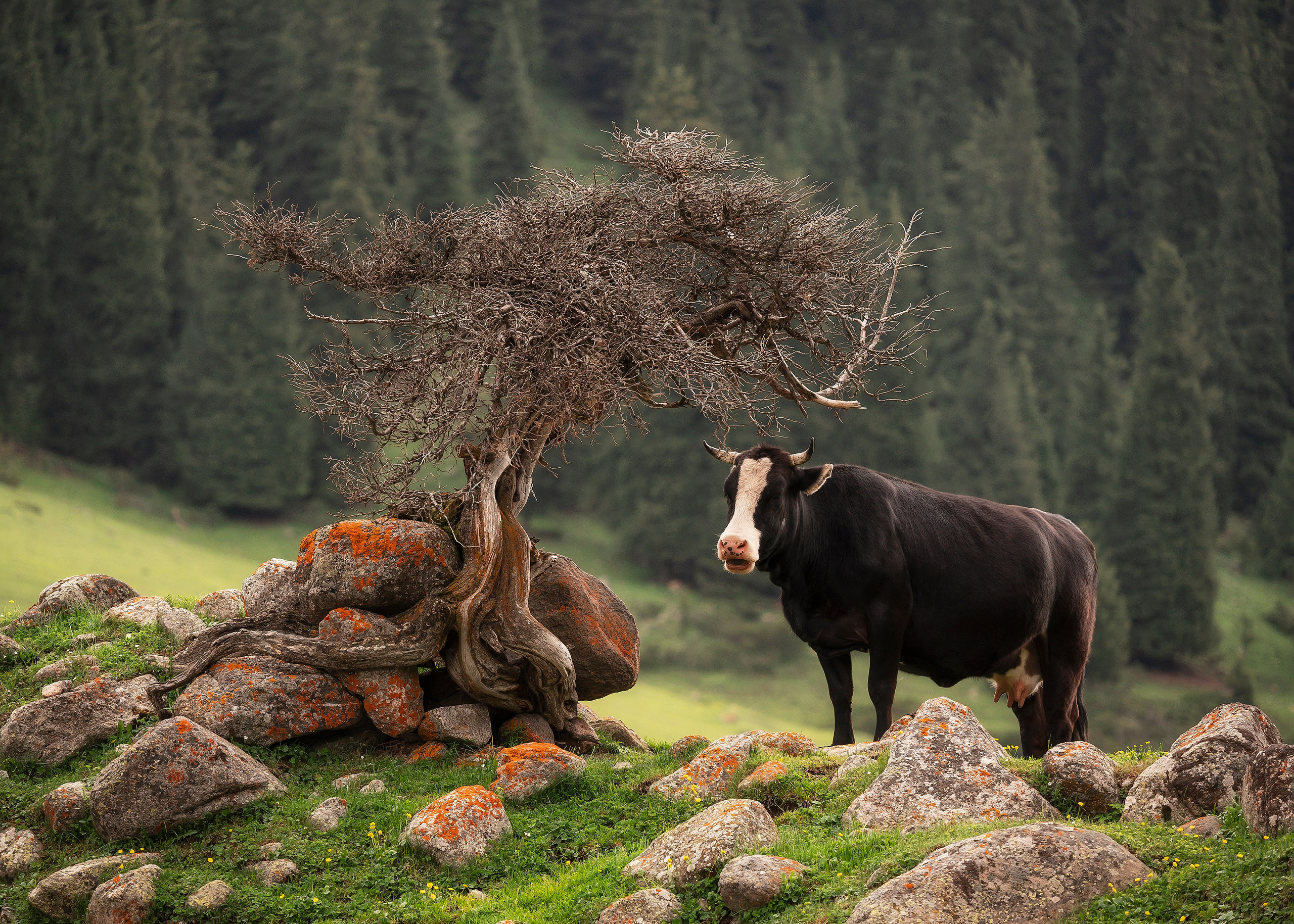 Киргизия. Портретный фотограф в Челябинске Катерина Руди