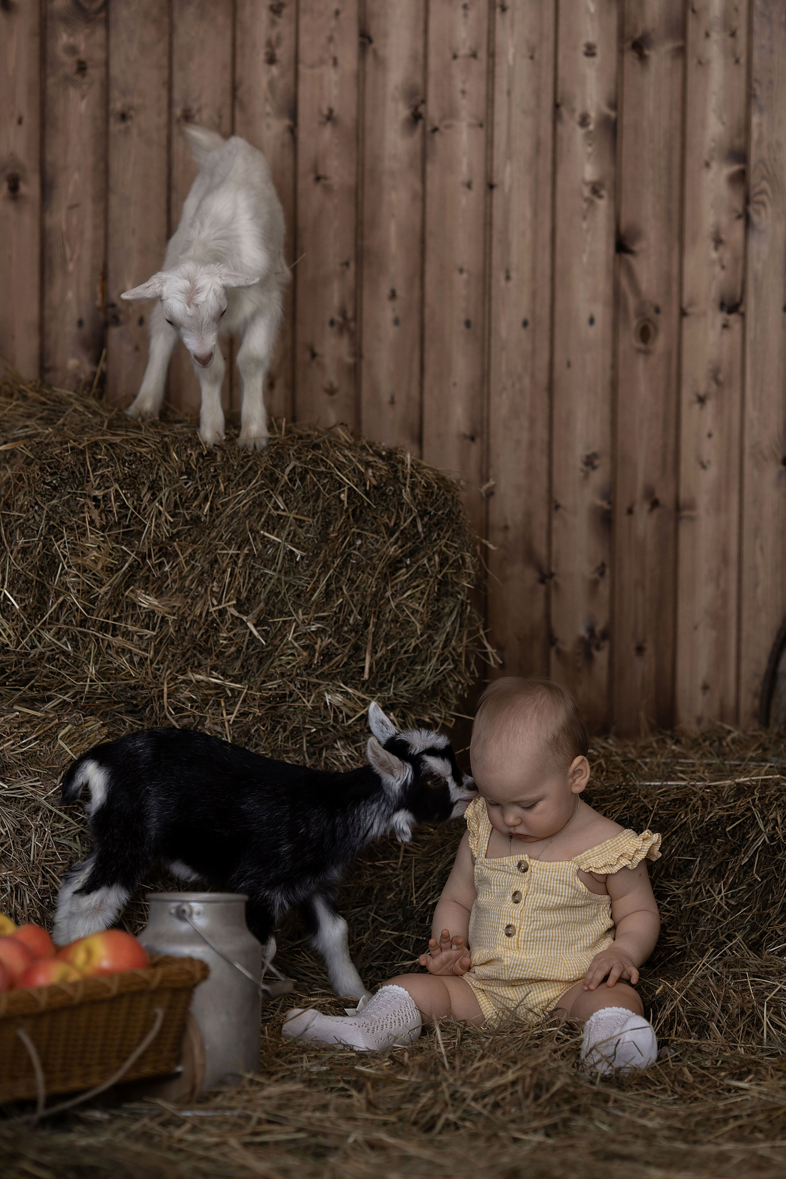 Пасхальный фотопроект. Фотостудия Фонарь