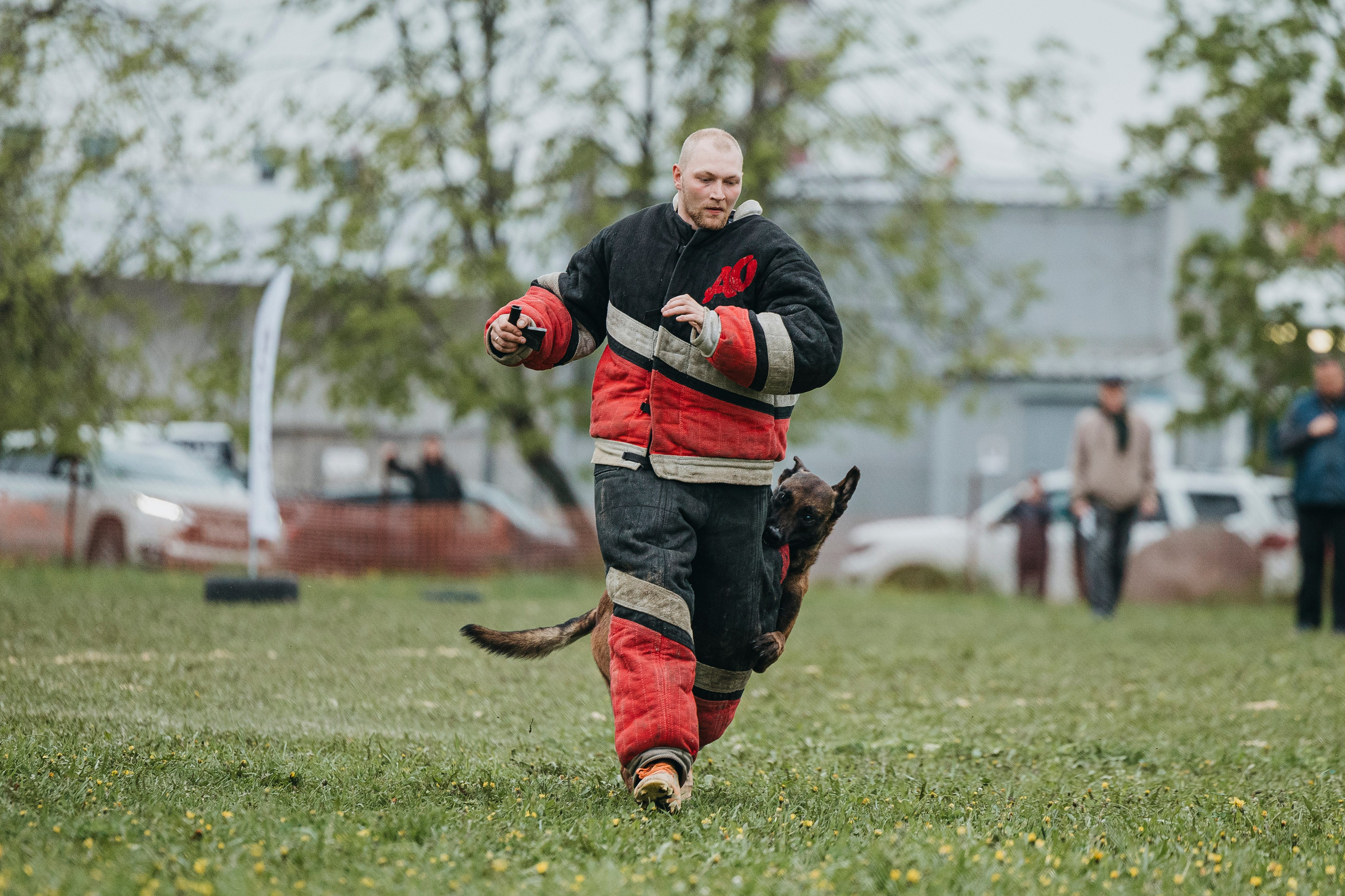 26.05.25 г. Пушкин квалификационные соревнования. Фотограф-анималист Анна Маринич