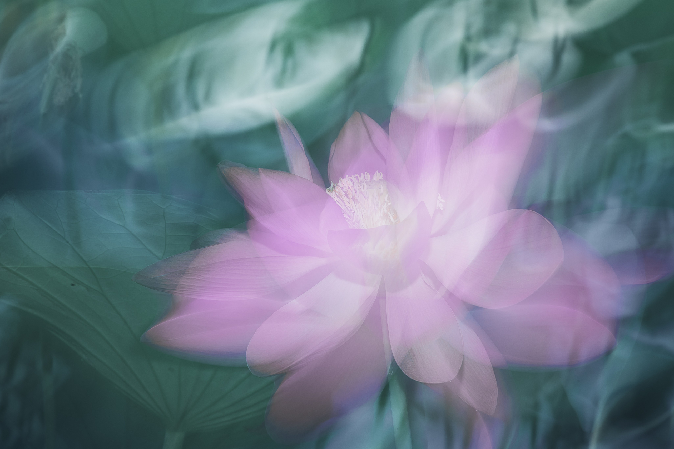 Астраханская область 2025 | Фотограф Дмитрий Купрацевич. Дмитрий Купрацевич профессиональный пейзажный и travel-фотограф