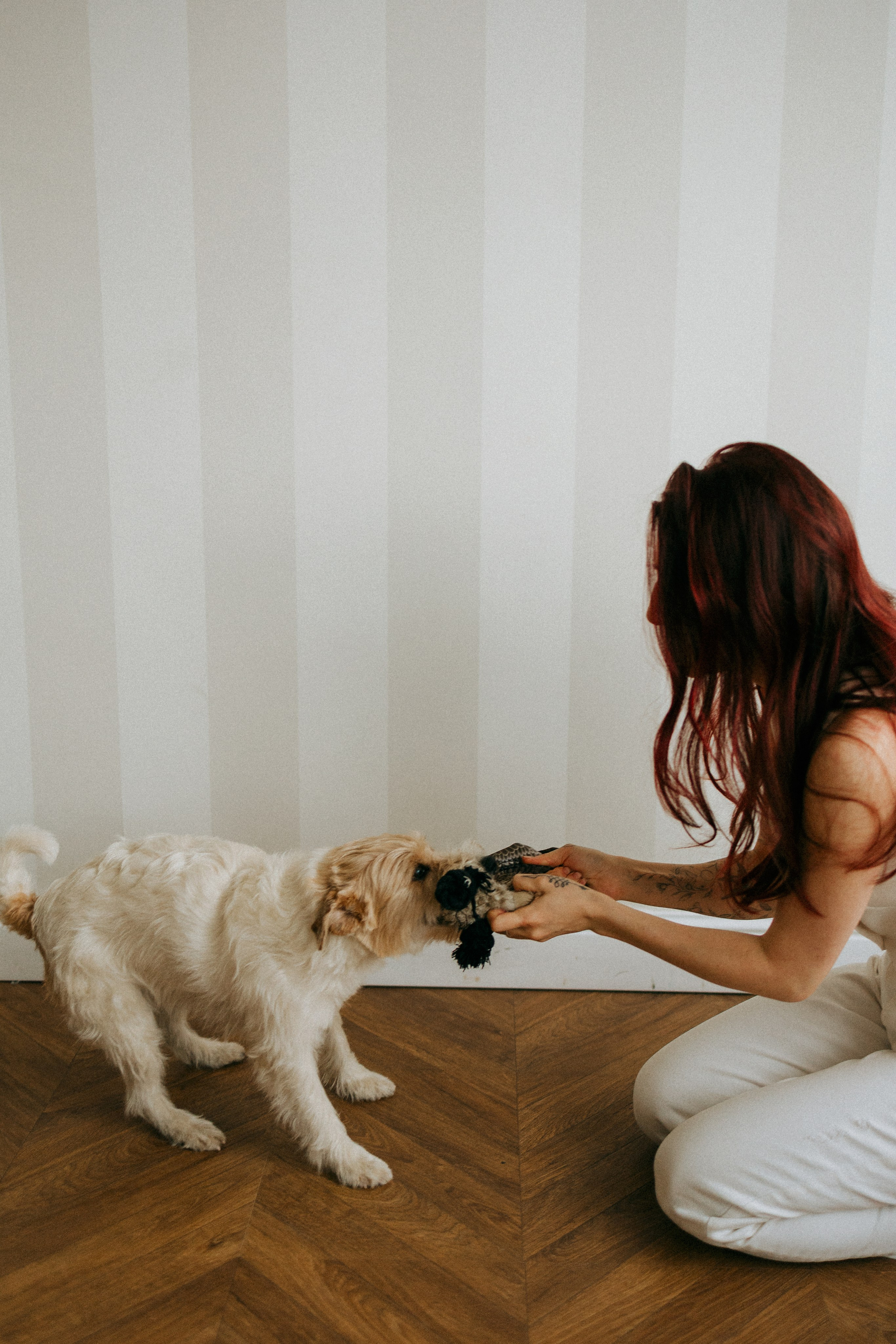 Цунами, Теон и Женя. Фотограф анималист Анастасия Пикей