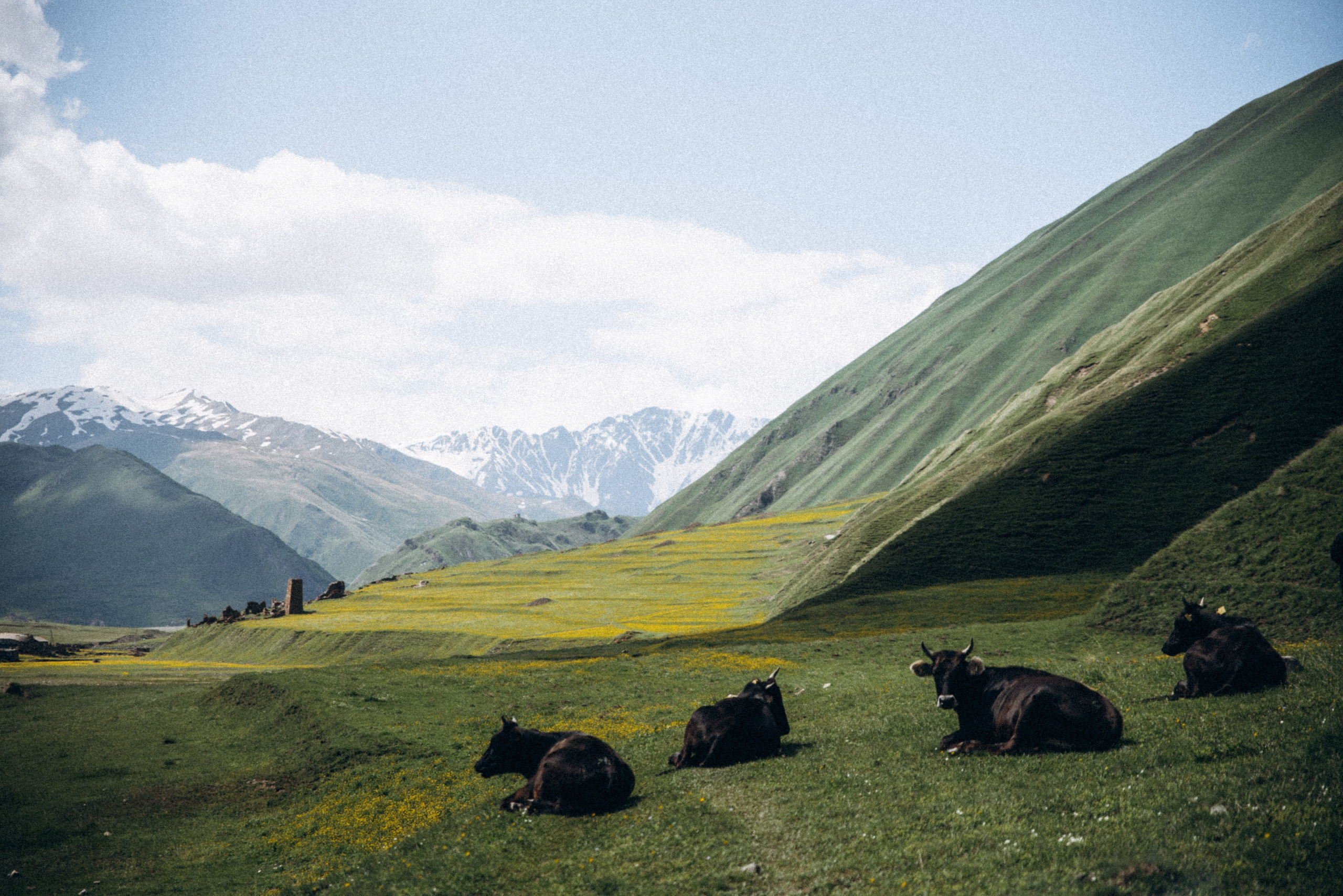 Долина Трусо, Грузия🇬🇪«Honey Trip». Anita_photo