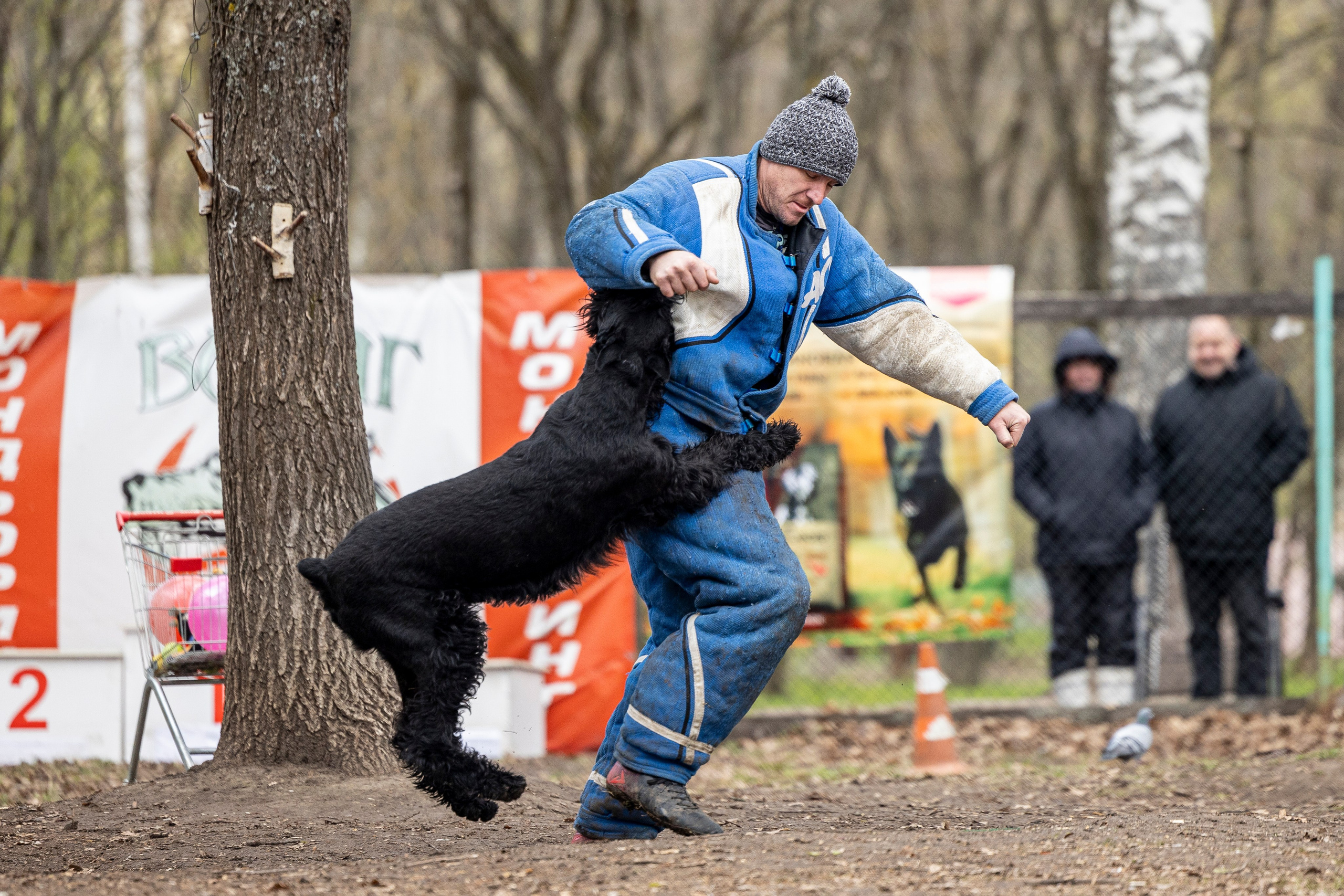 Квалификационные состязания по мондьорингу г. Вологда 11.05.24. Фотограф-анималист Анна Маринич