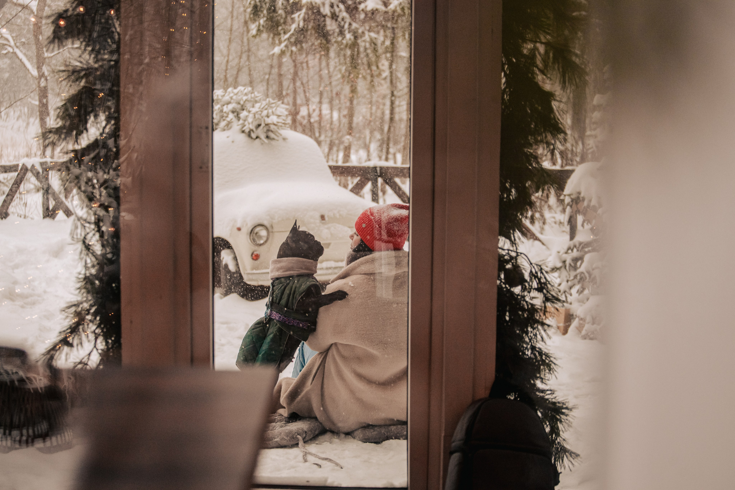 Кантри Хаус. Фотограф-анималист Татьяна Степанова