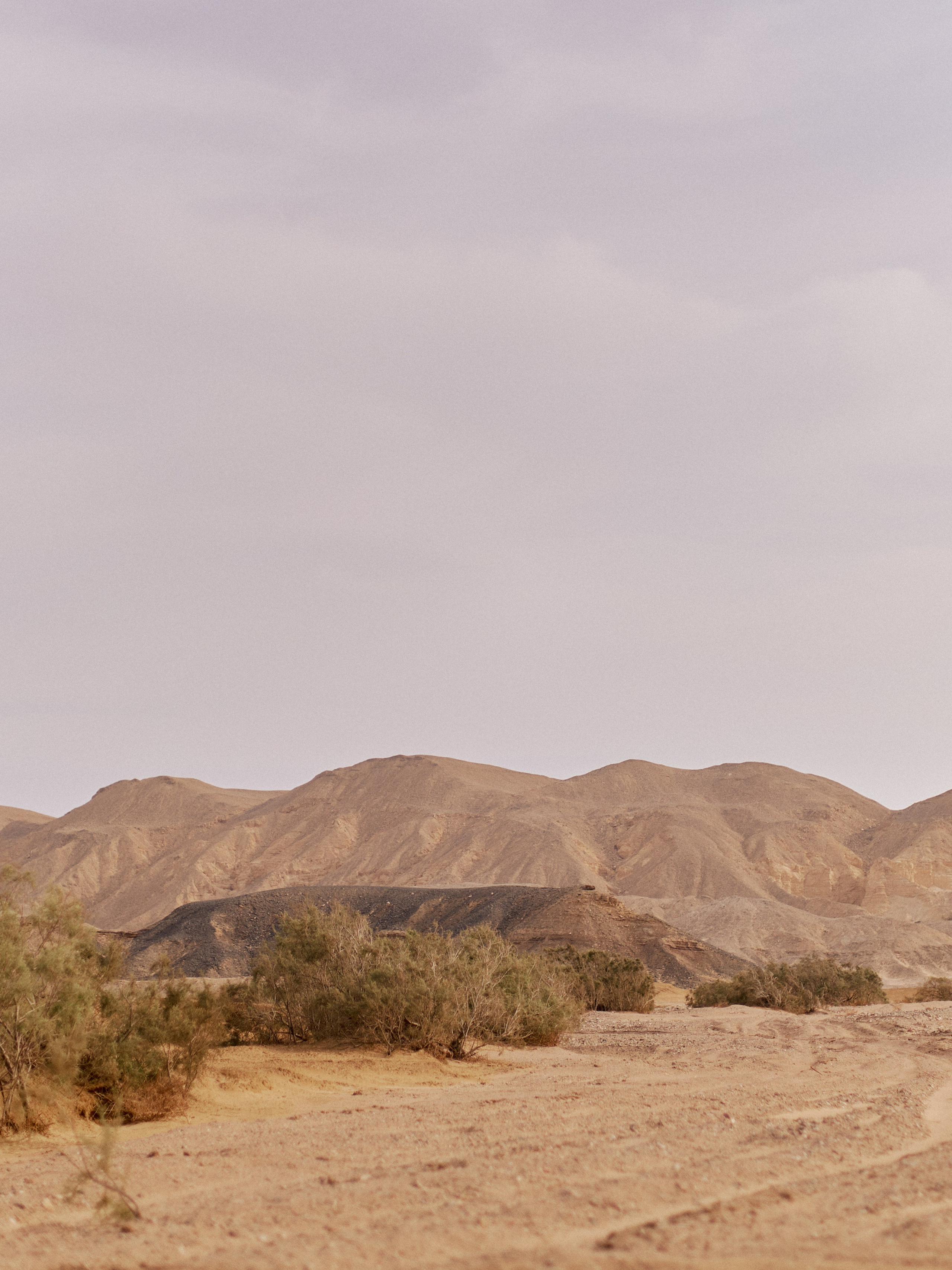 Другое 3. Jorgis Talè — photographer, kind person, teacher of arts and other mag