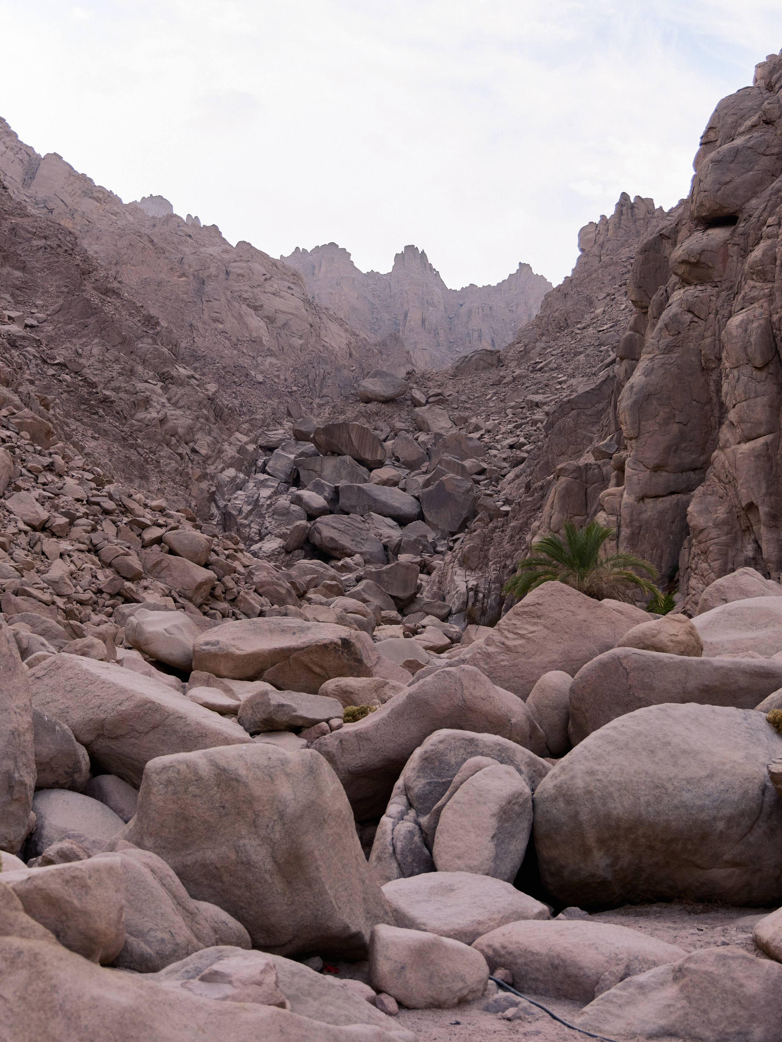 Другое 3. Jorgis — фотограф в Хургаде / обучение фотографии