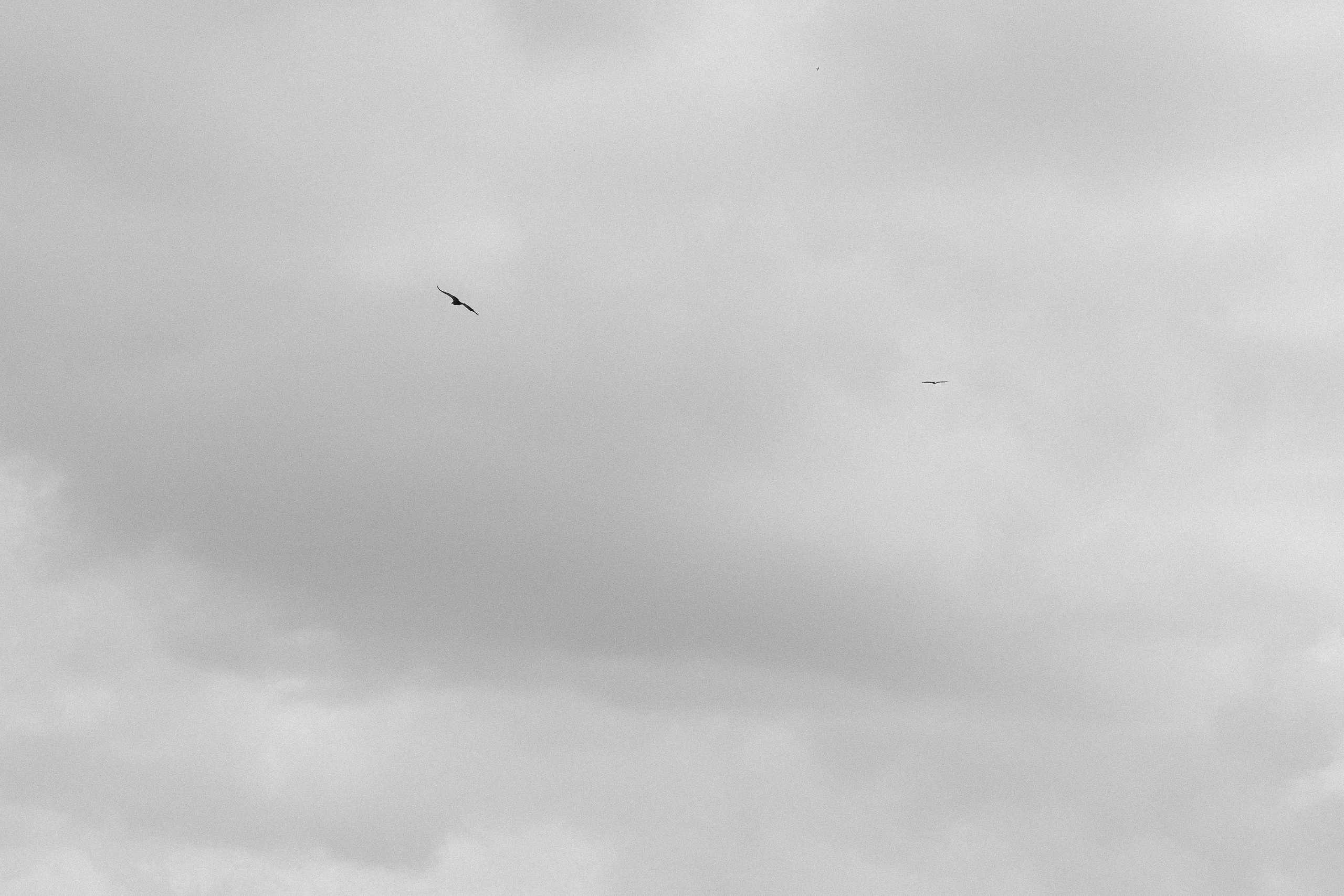 Между небом и землей (Кисловодск). Свадебный фотограф Ольга Ермакович