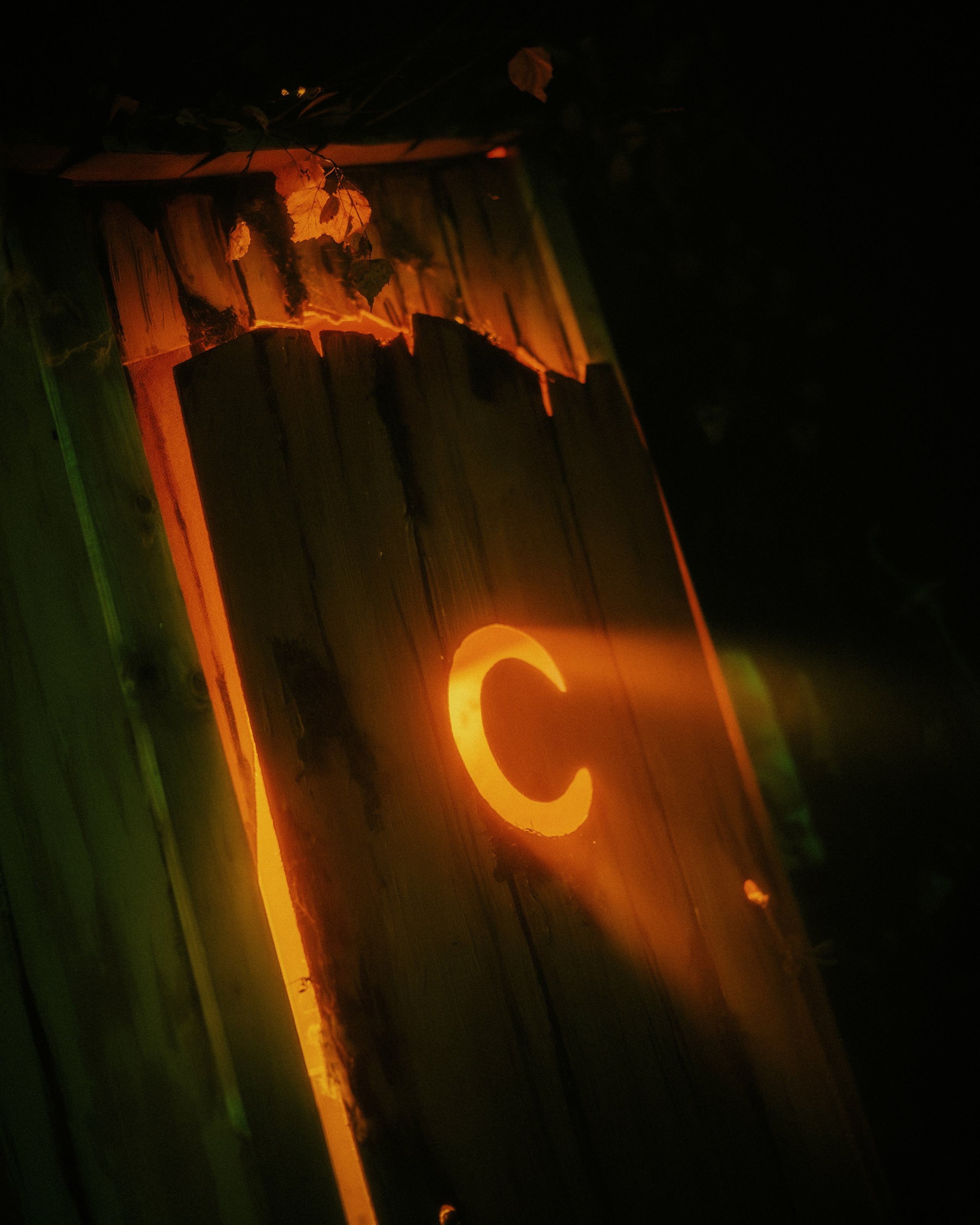 Shrek Rave 2. Кутнов Владислав | Портретная и городская фотосессии | Санкт-Петербург