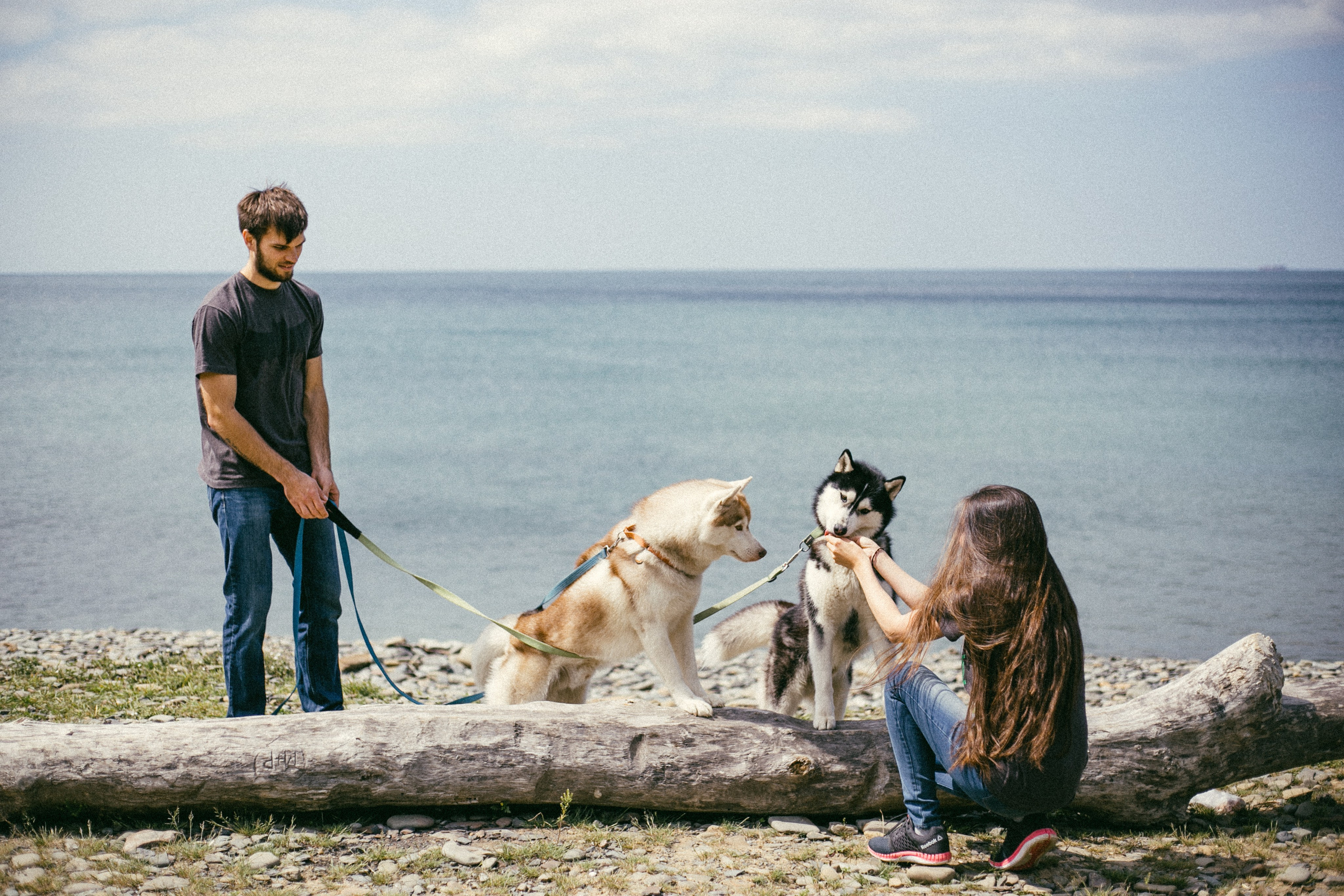 Один чудесный день. Свадебный и семейный фотограф во Владивостоке Овчинникова Дарья