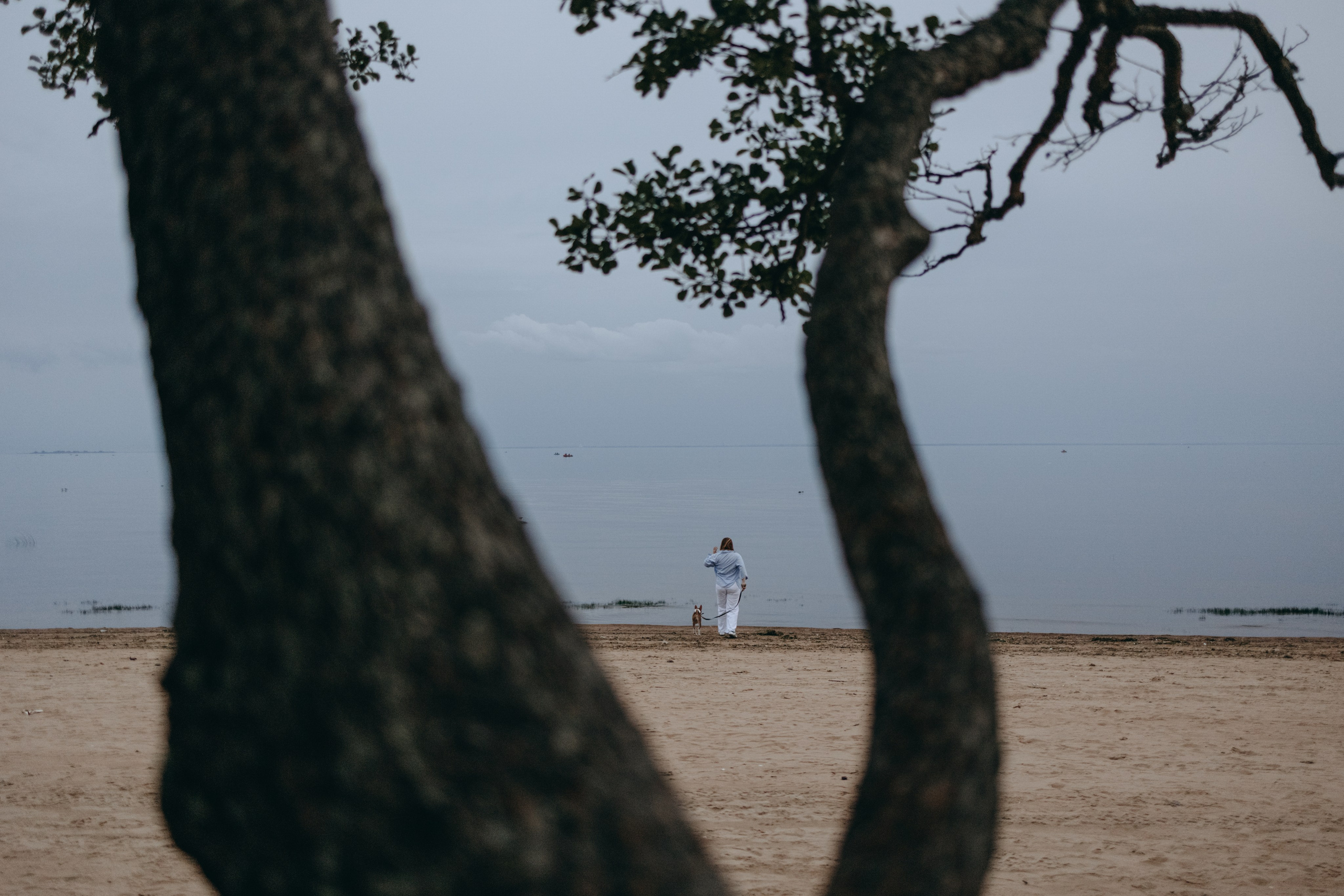 Даша и Арчи. Фотограф — Анималист | Санкт-Петербург