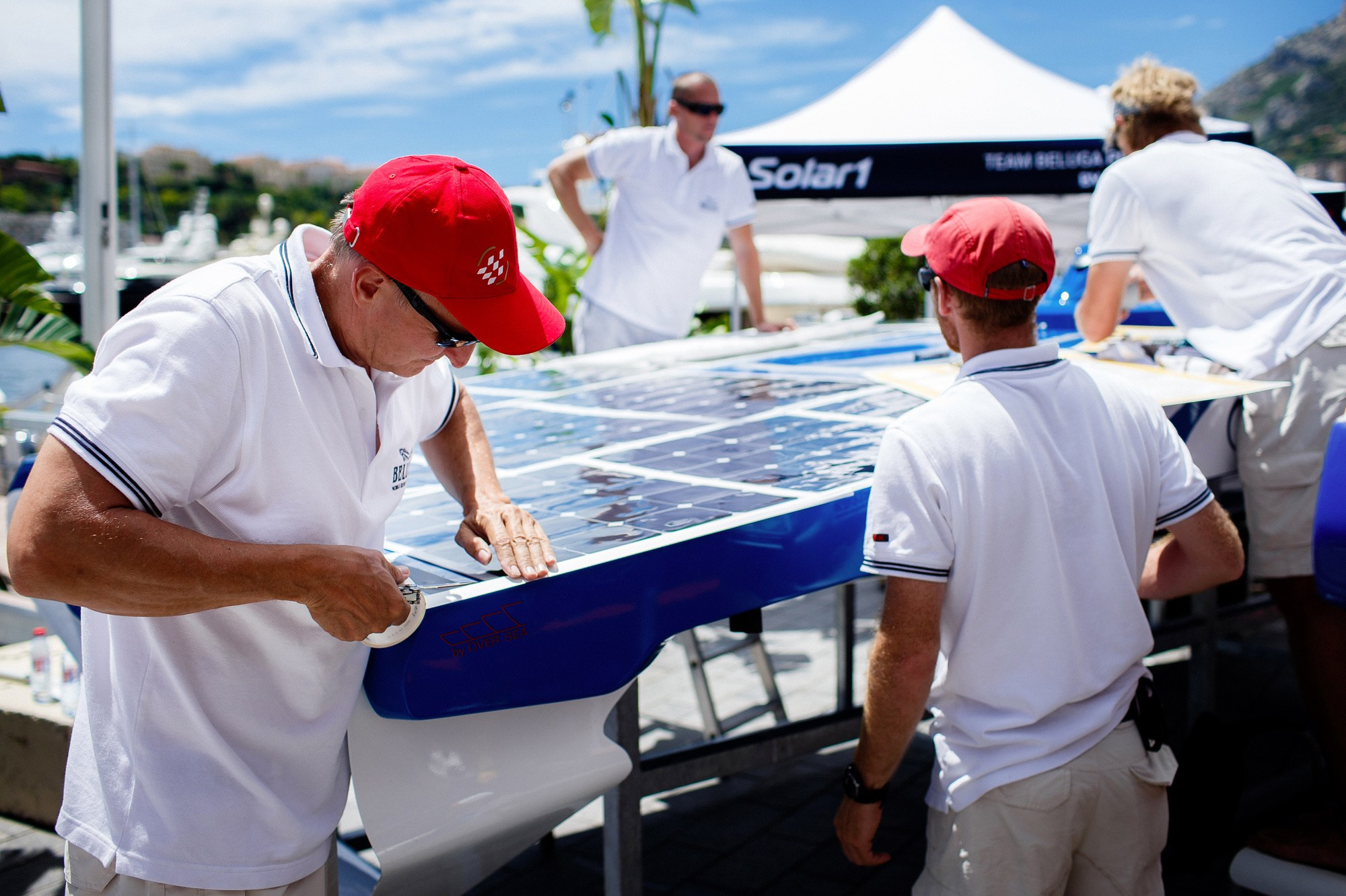 Report VIII. Veedoff