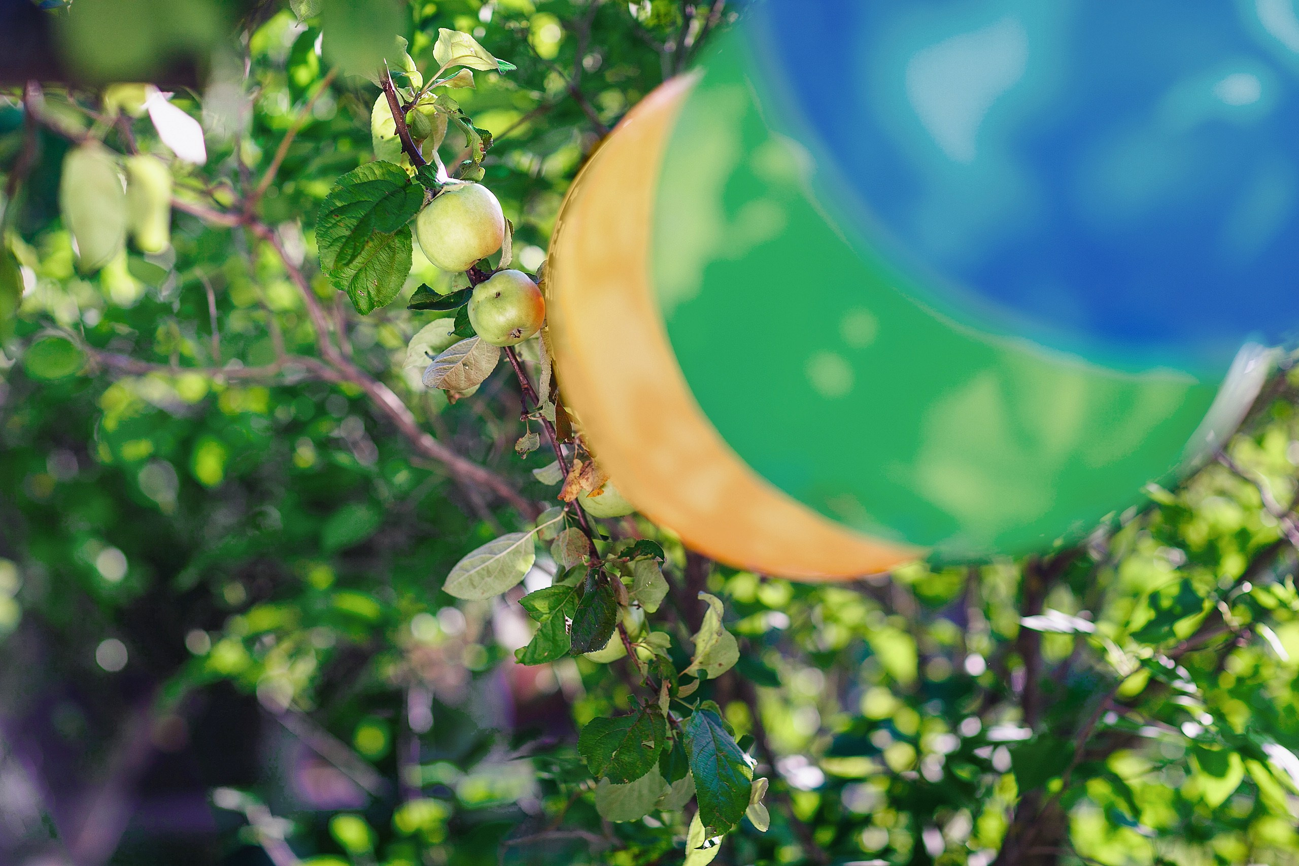 День Рождения. Свадебный фотограф Сергей Сергеев — Нижний Новгород