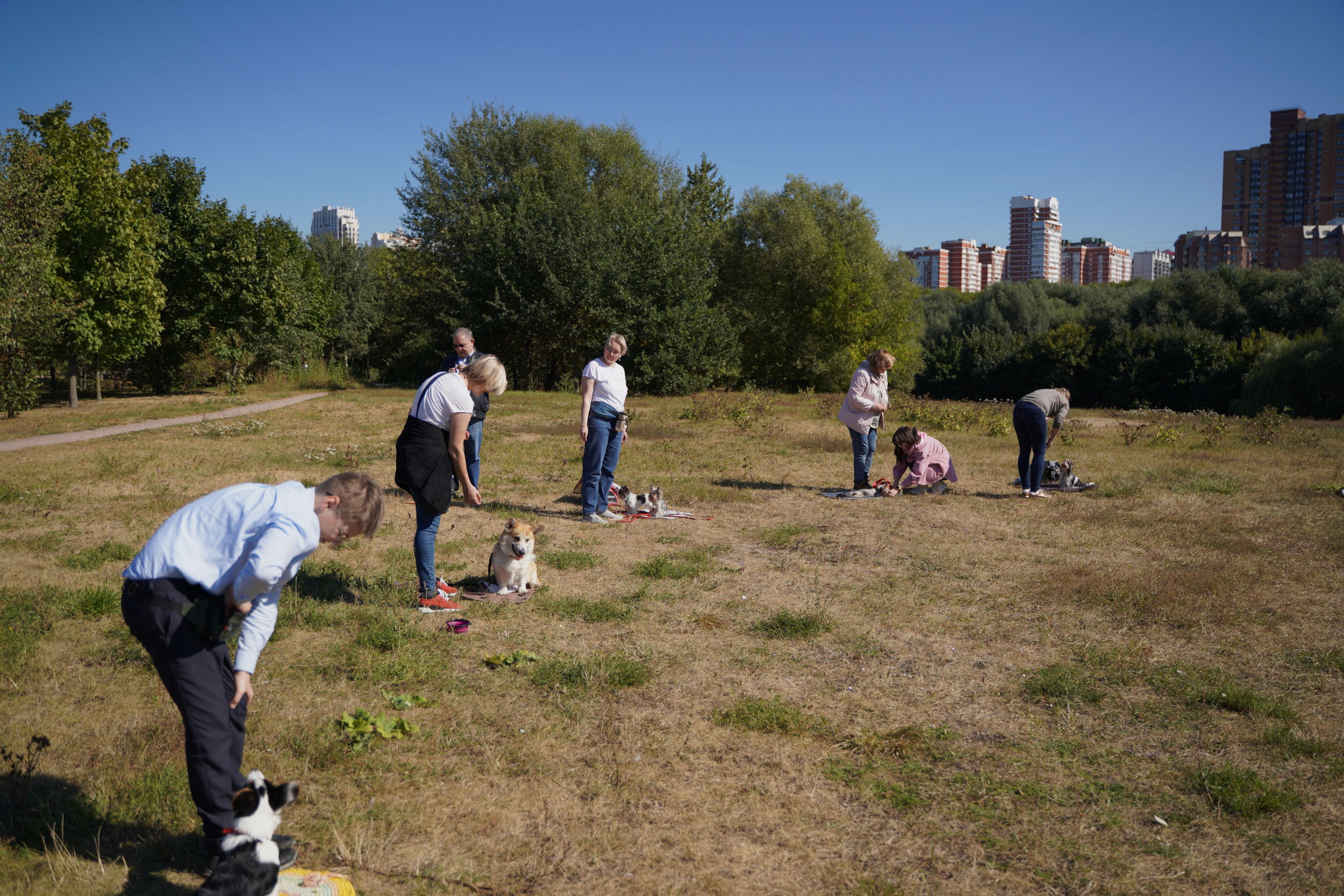 Занятия с кинологом в Москве. Дрессировка собак. Фотосъемка урока. Портретный фотограф в Москве Елена Капралова