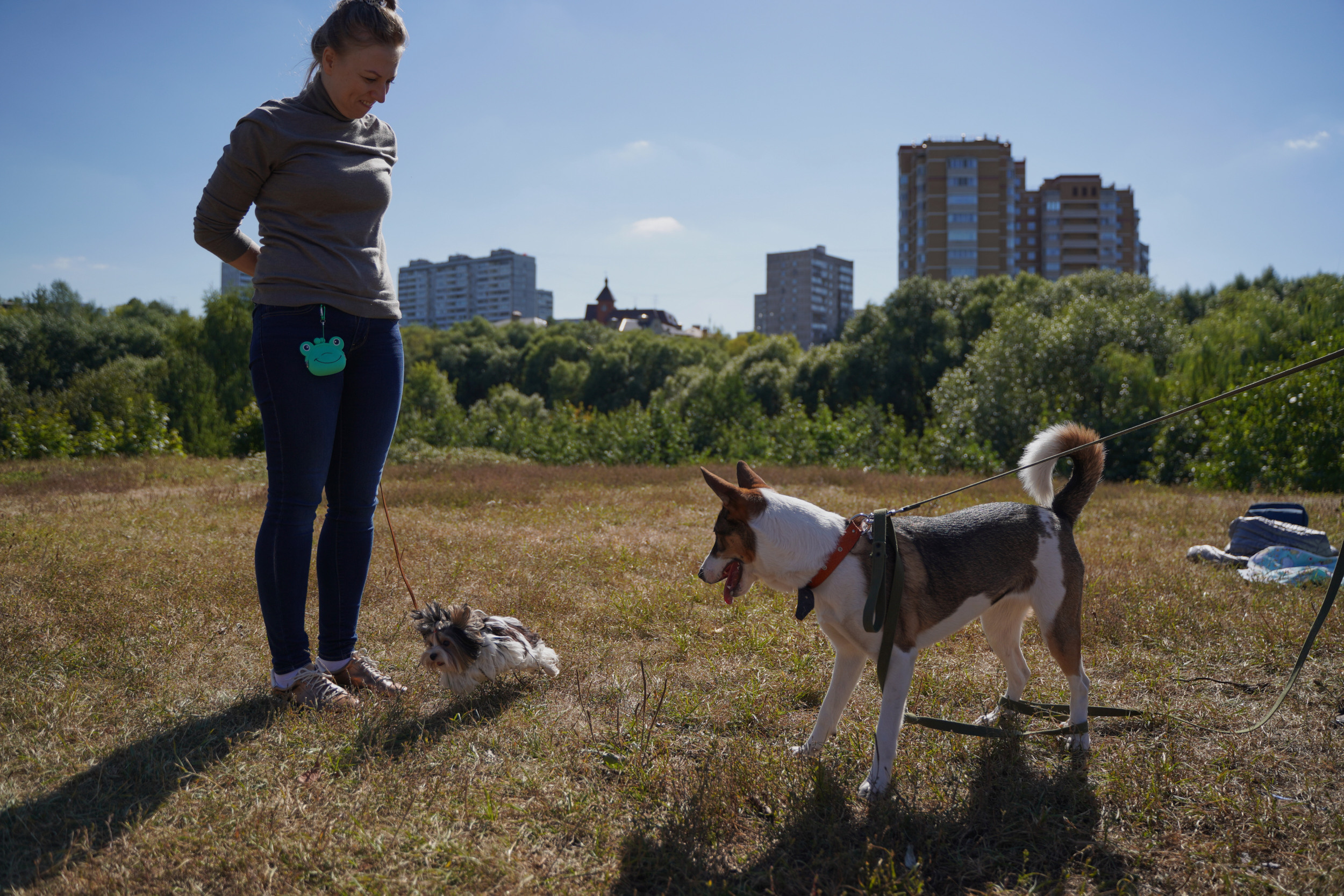 Занятия с кинологом в Москве. Дрессировка собак. Фотосъемка урока. Портретный фотограф в Москве Елена Капралова