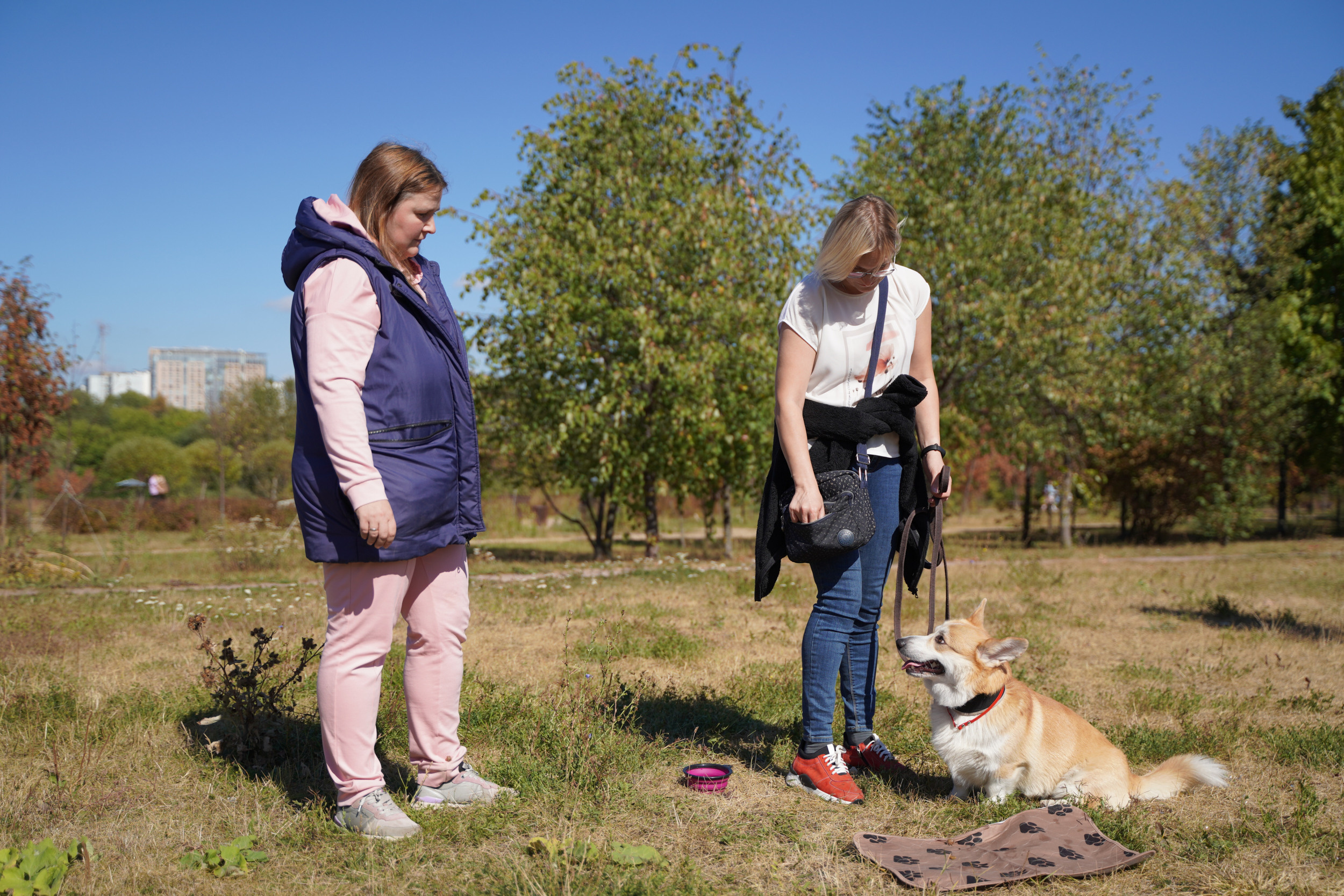 Занятия с кинологом в Москве. Дрессировка собак. Фотосъемка урока. Портретный фотограф в Москве Елена Капралова