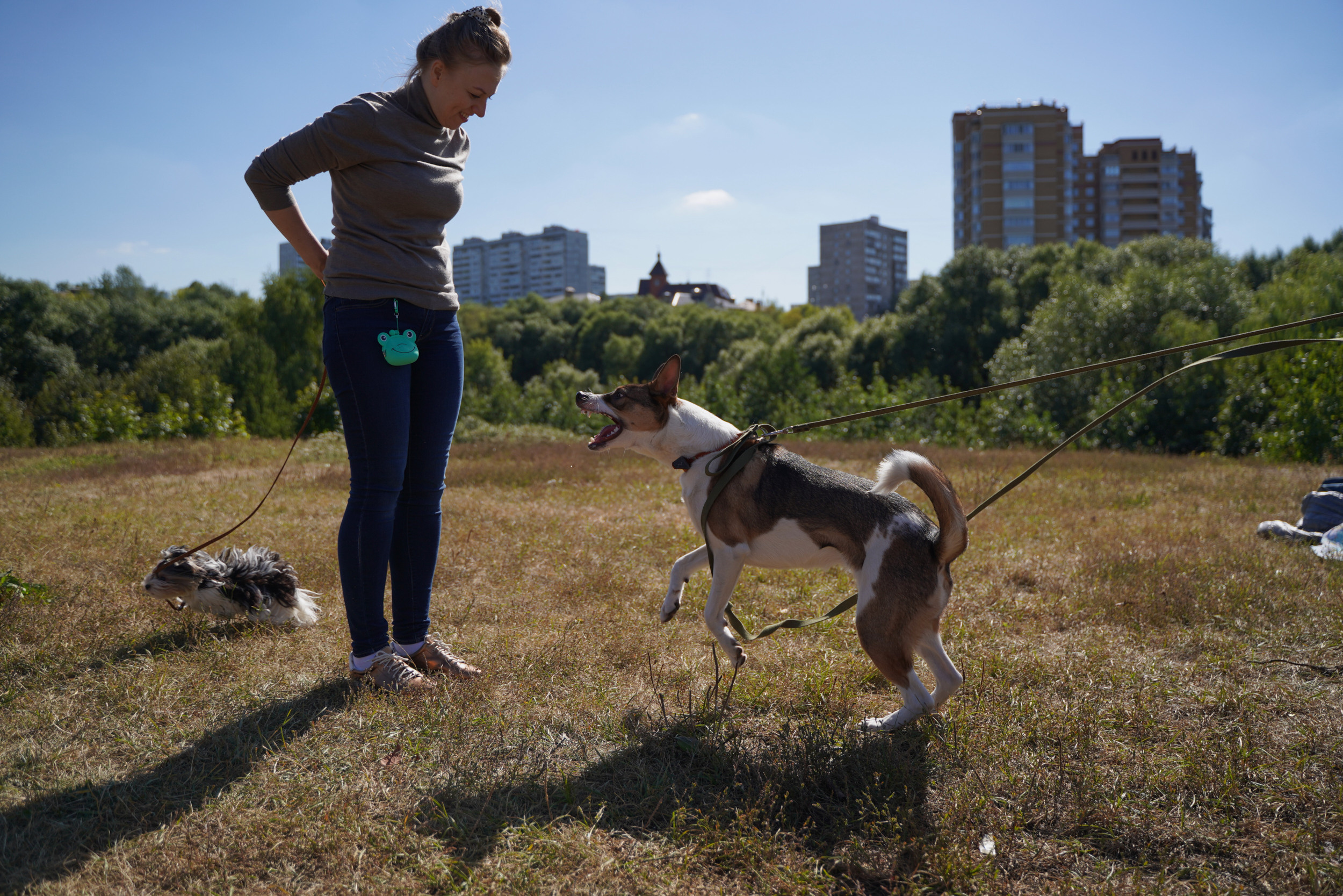 Занятия с кинологом в Москве. Дрессировка собак. Фотосъемка урока. Портретный фотограф в Москве Елена Капралова