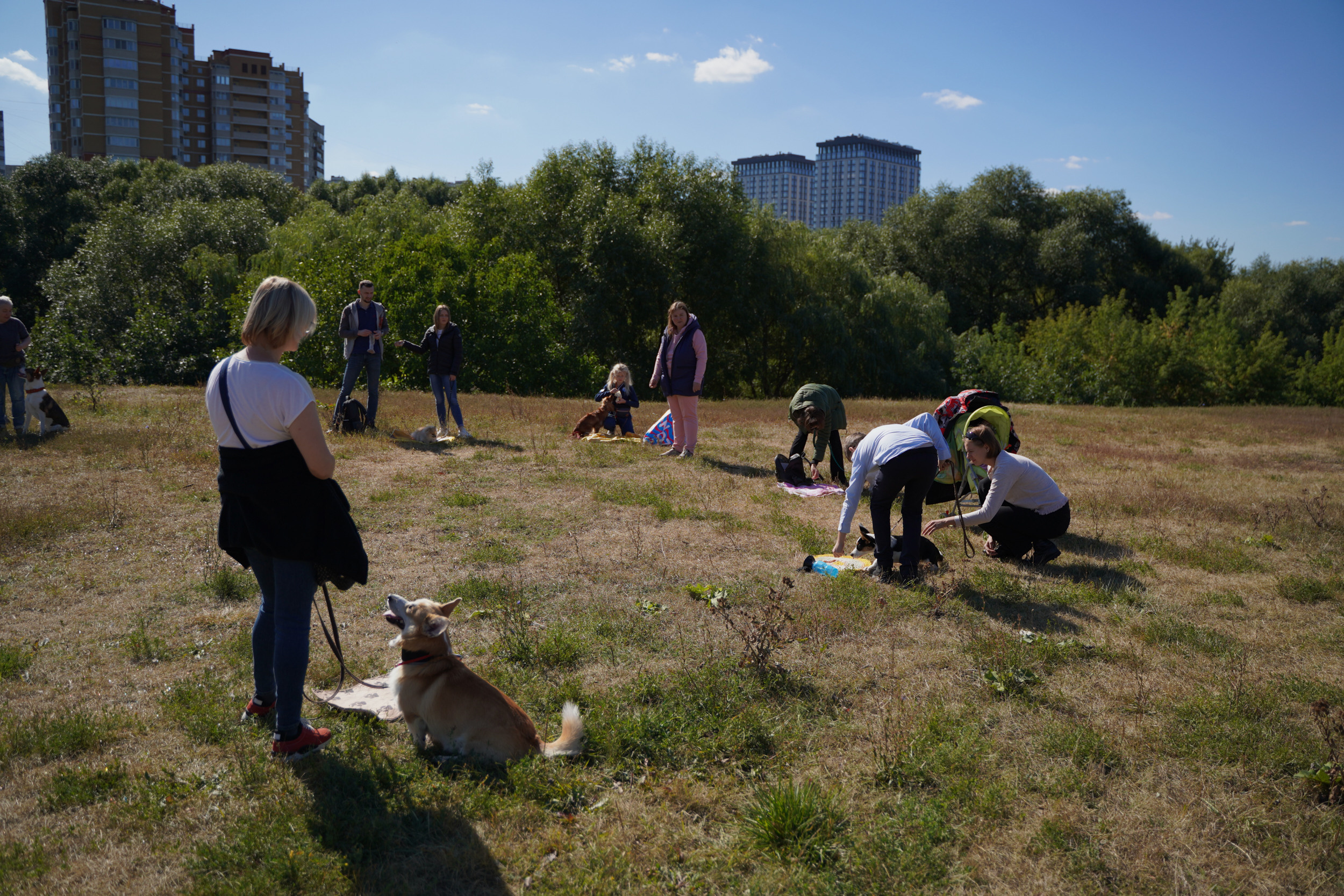Занятия с кинологом в Москве. Дрессировка собак. Фотосъемка урока. Портретный фотограф в Москве Елена Капралова