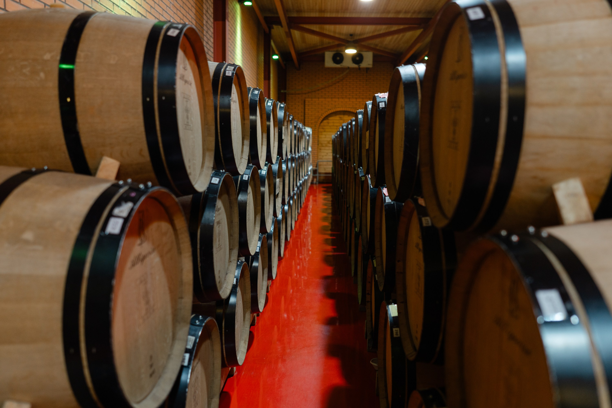 ArbaWine. Адиль Абильтаев|Фотограф|Астана