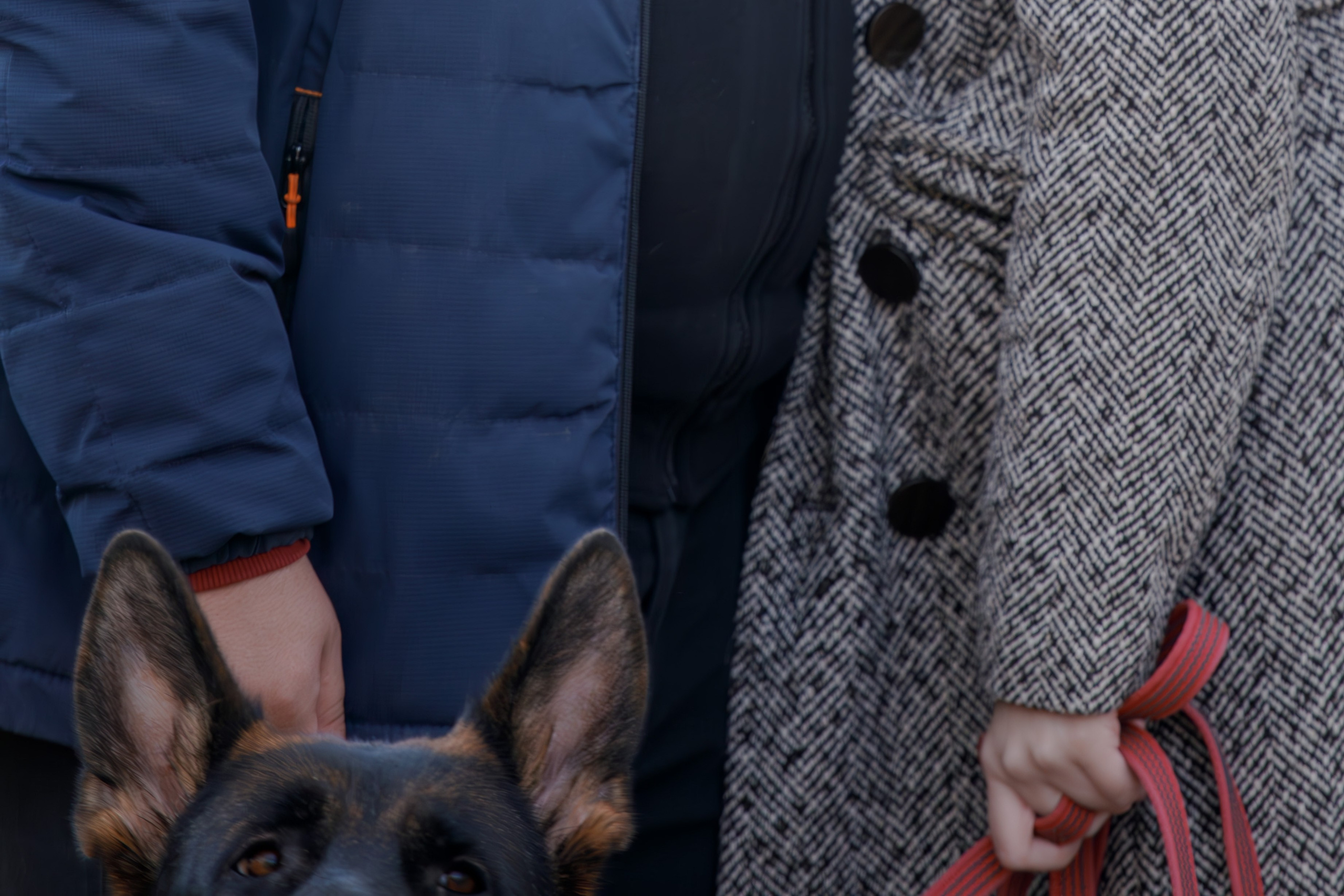 Ди и Джема. Фотограф Екатерина Козловская