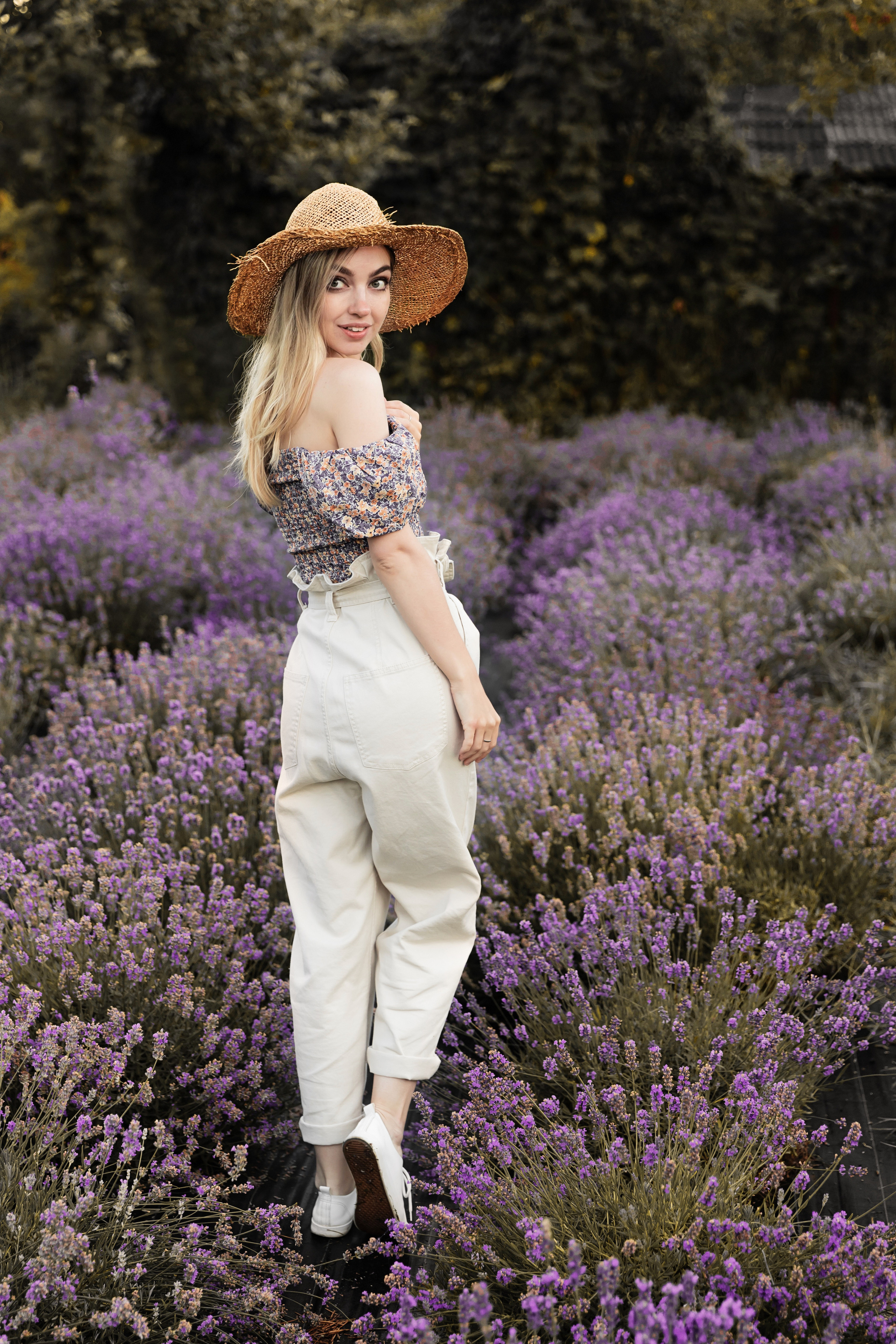 Лаванда. Семейный фотограф в Туле Яна Денисова — семейная фотосессия