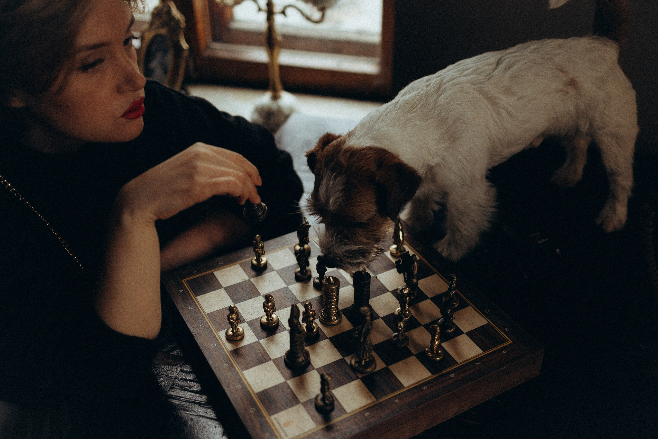 Маша и Фалафель. Фотограф Москва Алёна Суворова