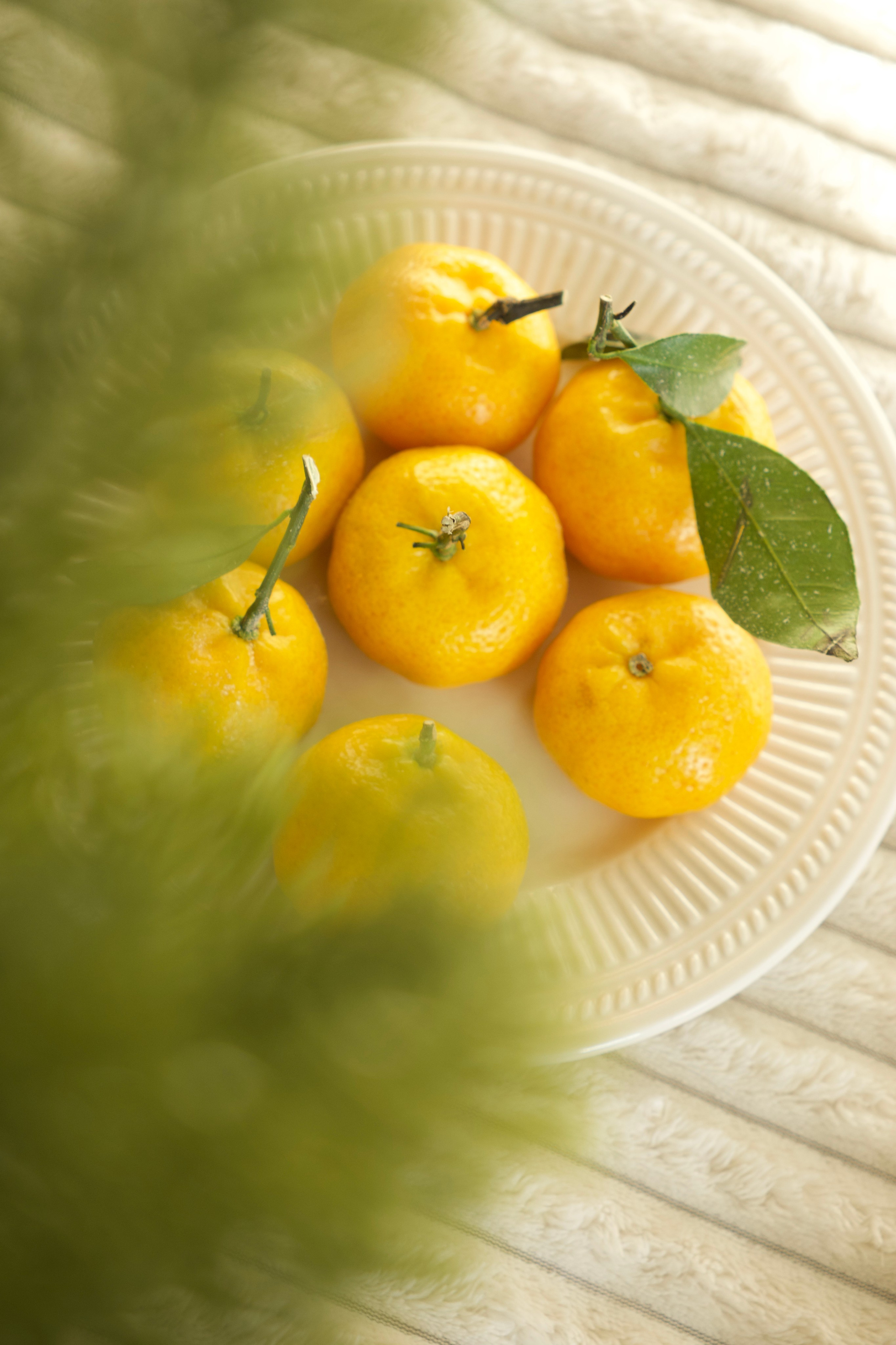 Новогодний марафон по мобильной предметной съемке и визуалу. Anushikcreates