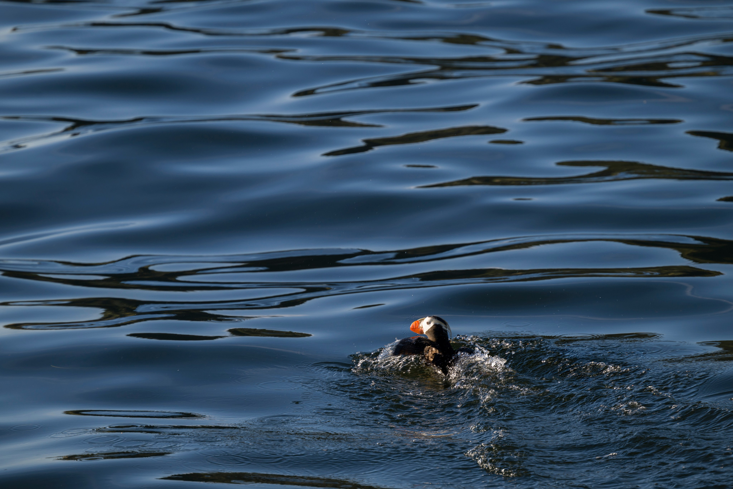 Камчатка. Портретный фотограф в Челябинске Катерина Руди
