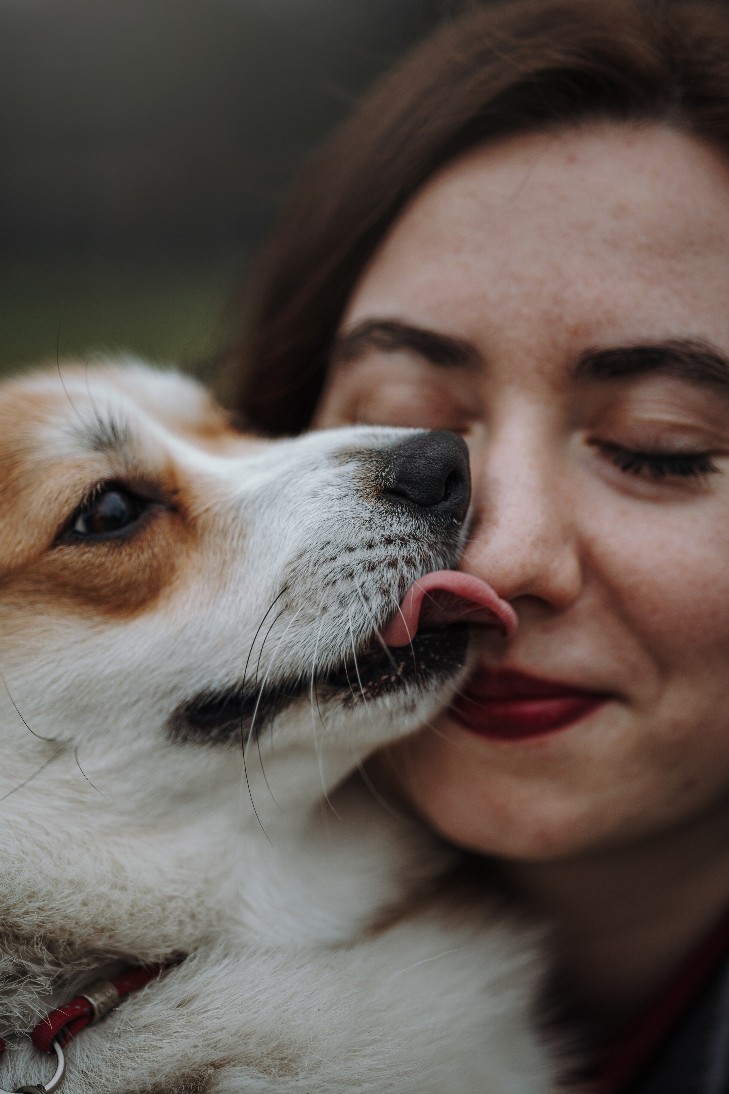 Юля и Терри. Фотограф — Анималист | Санкт-Петербург