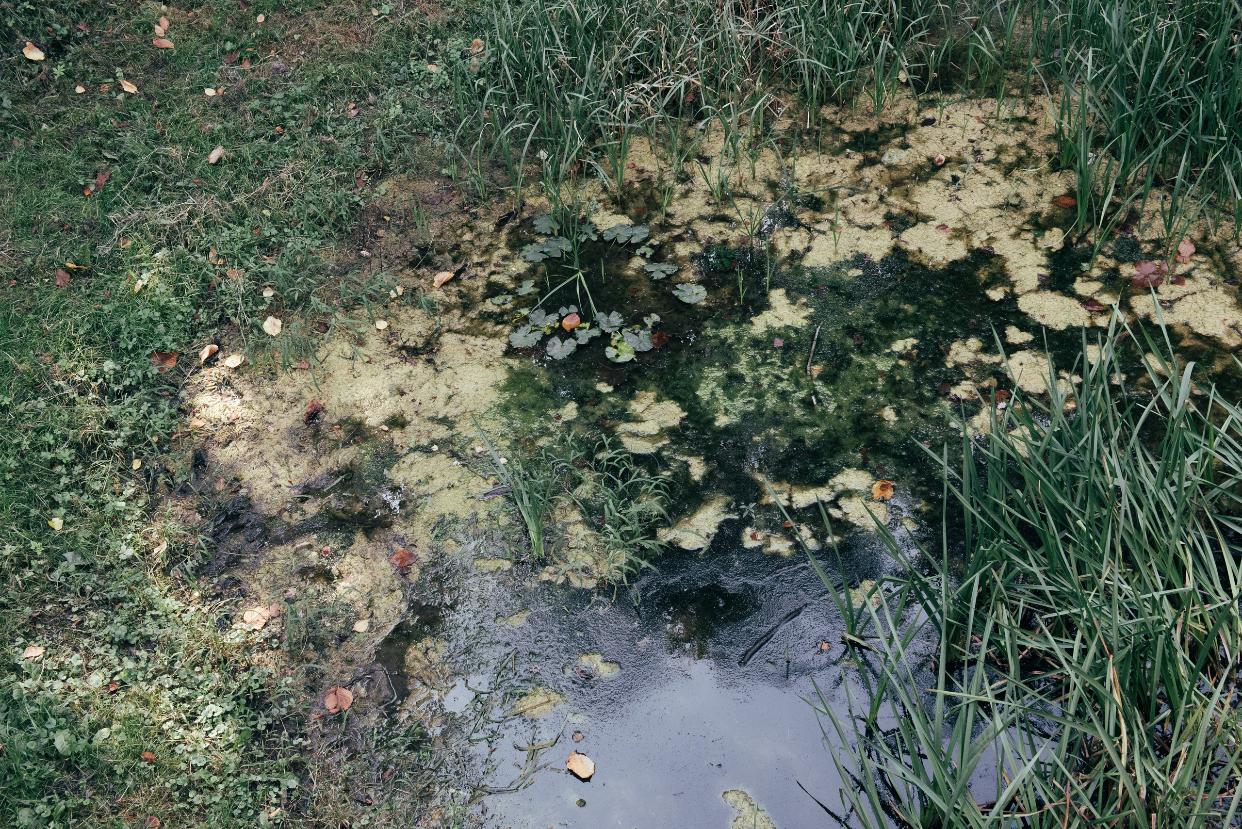 Владимира. Портретный и архитектурный фотограф в Москве и Санкт-Петербурге