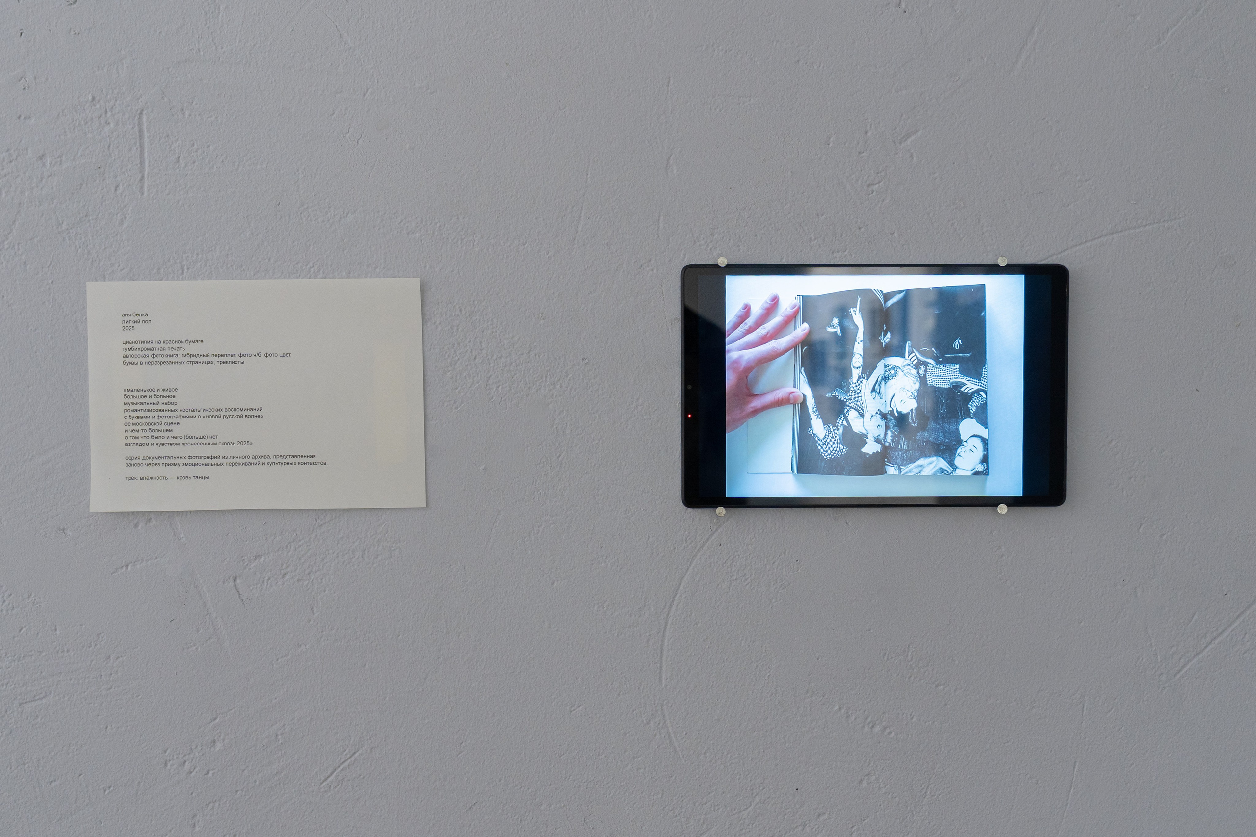 Липкий пол [книга]. Аня белка — художница и фотограф