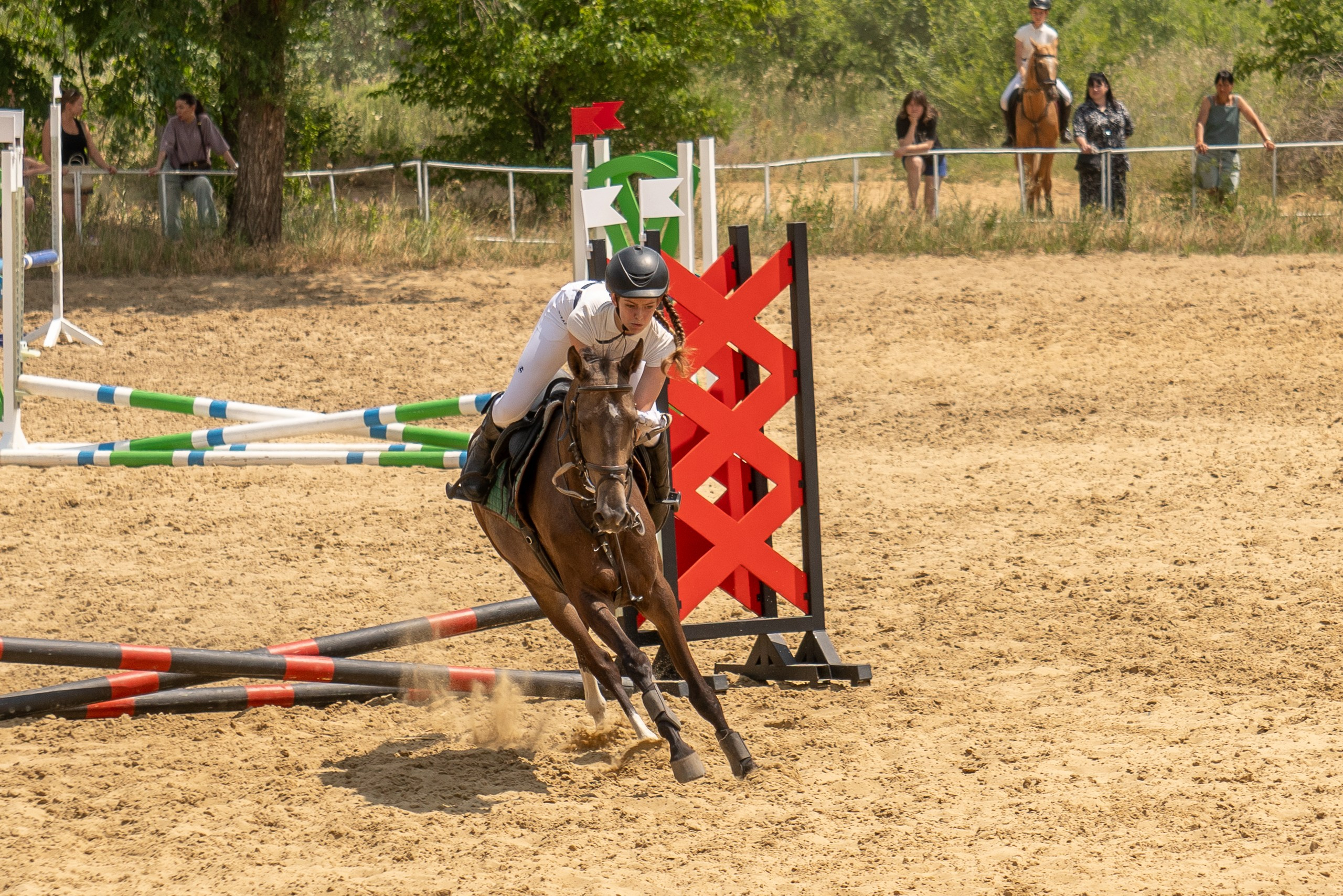 Соревнования по конкуру, Луганск. Фотограф в РФ и ЛНР Юлия Федосеева