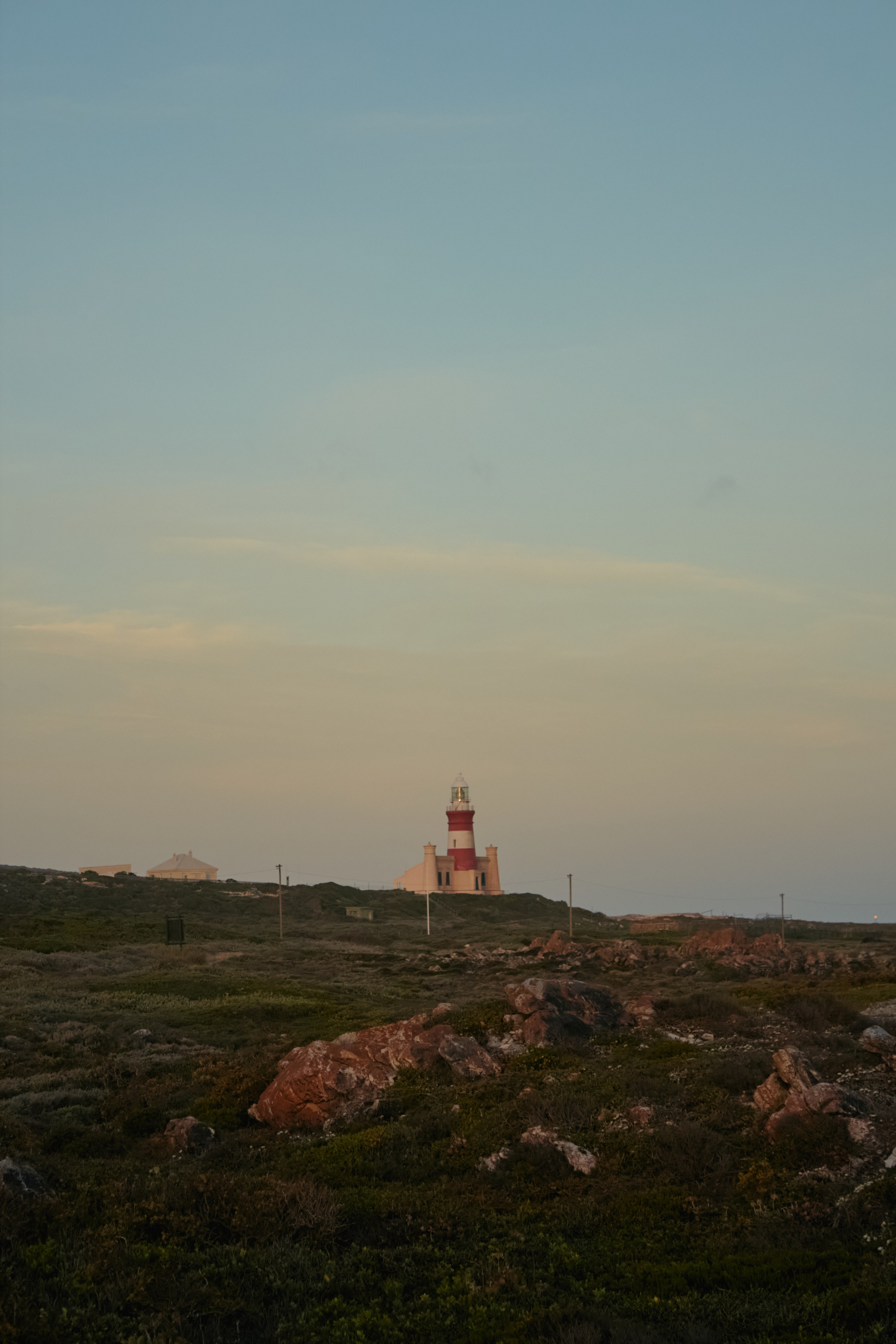 ЮАР. Профессиональный Фотограф во Владимире, в Москве и в Суздале — Полина Романычева