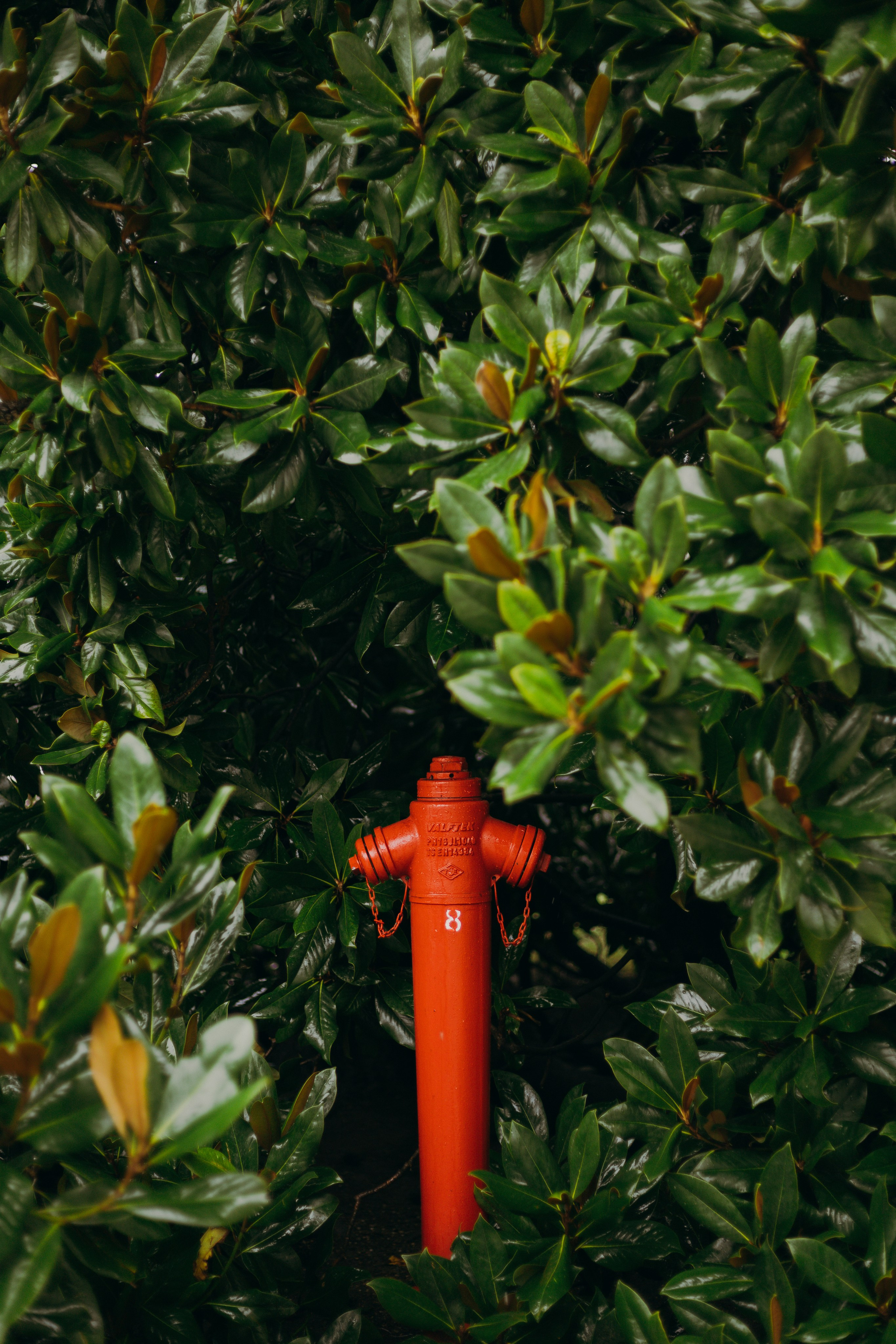 Стамбул. Профессиональный Фотограф во Владимире, в Москве и в Суздале — Полина Романычева