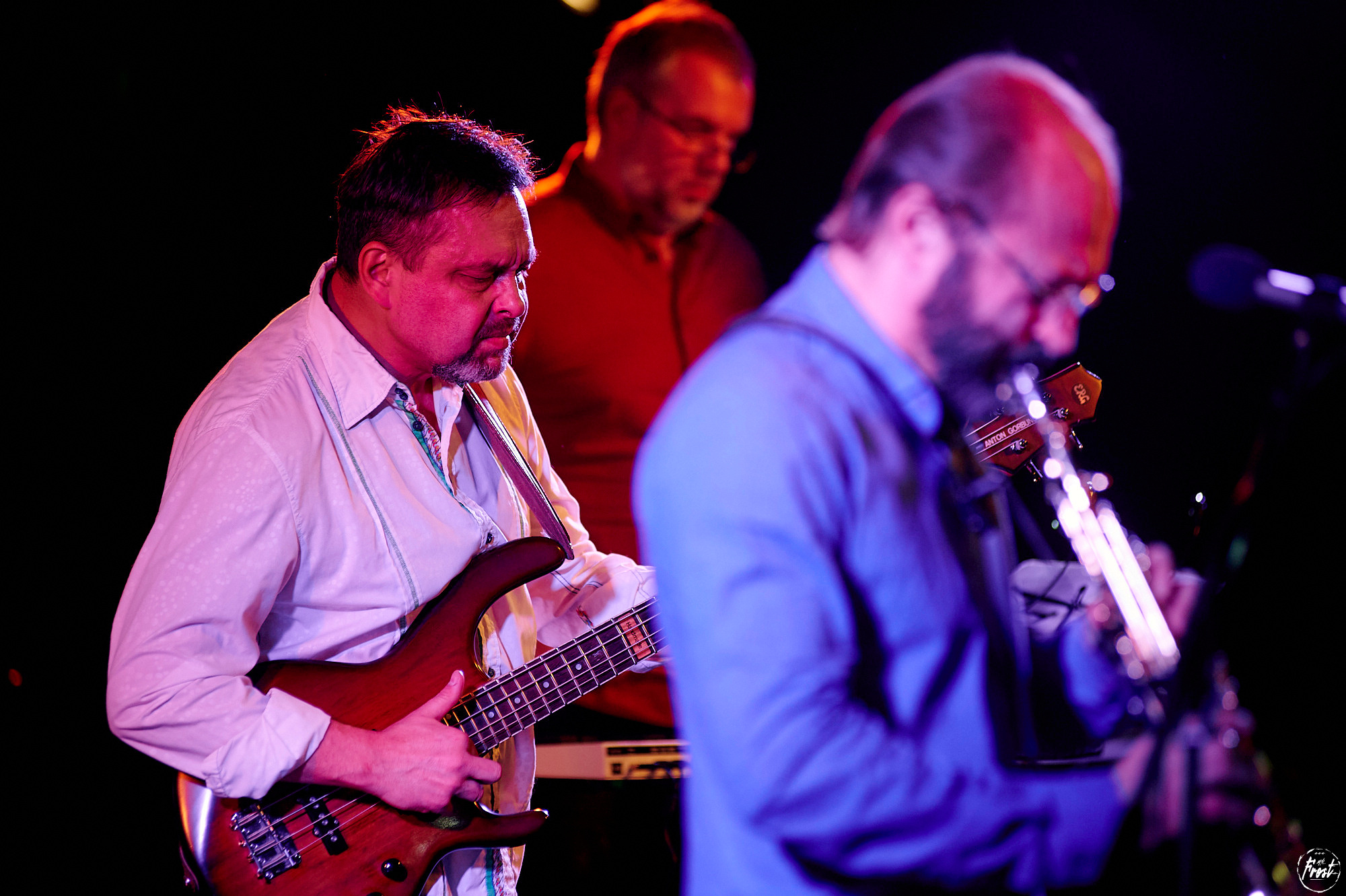 Квартет Антона Горбунова. Фотографии отовсюду и обо всем