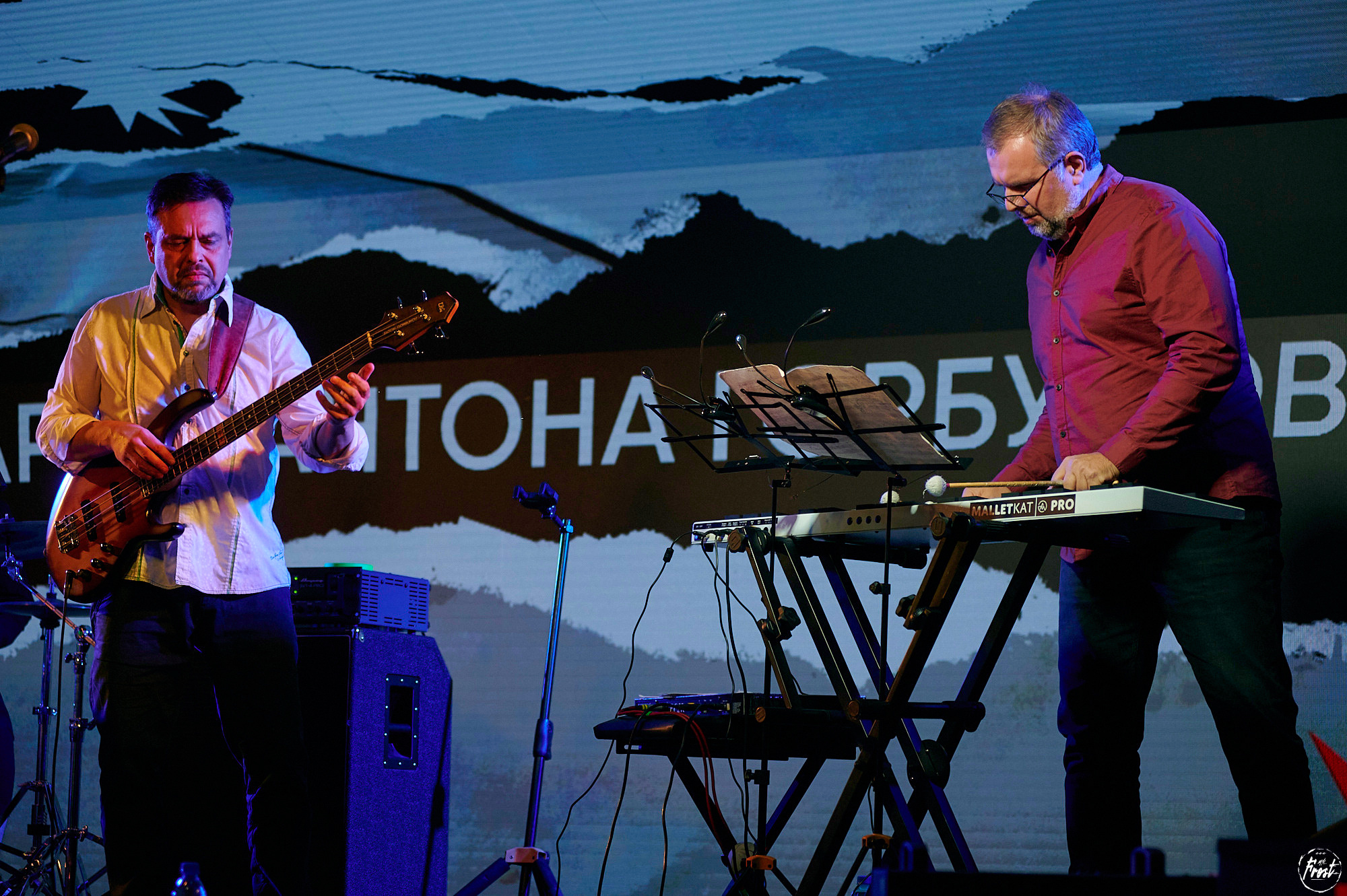 Квартет Антона Горбунова. Фотографии отовсюду и обо всем