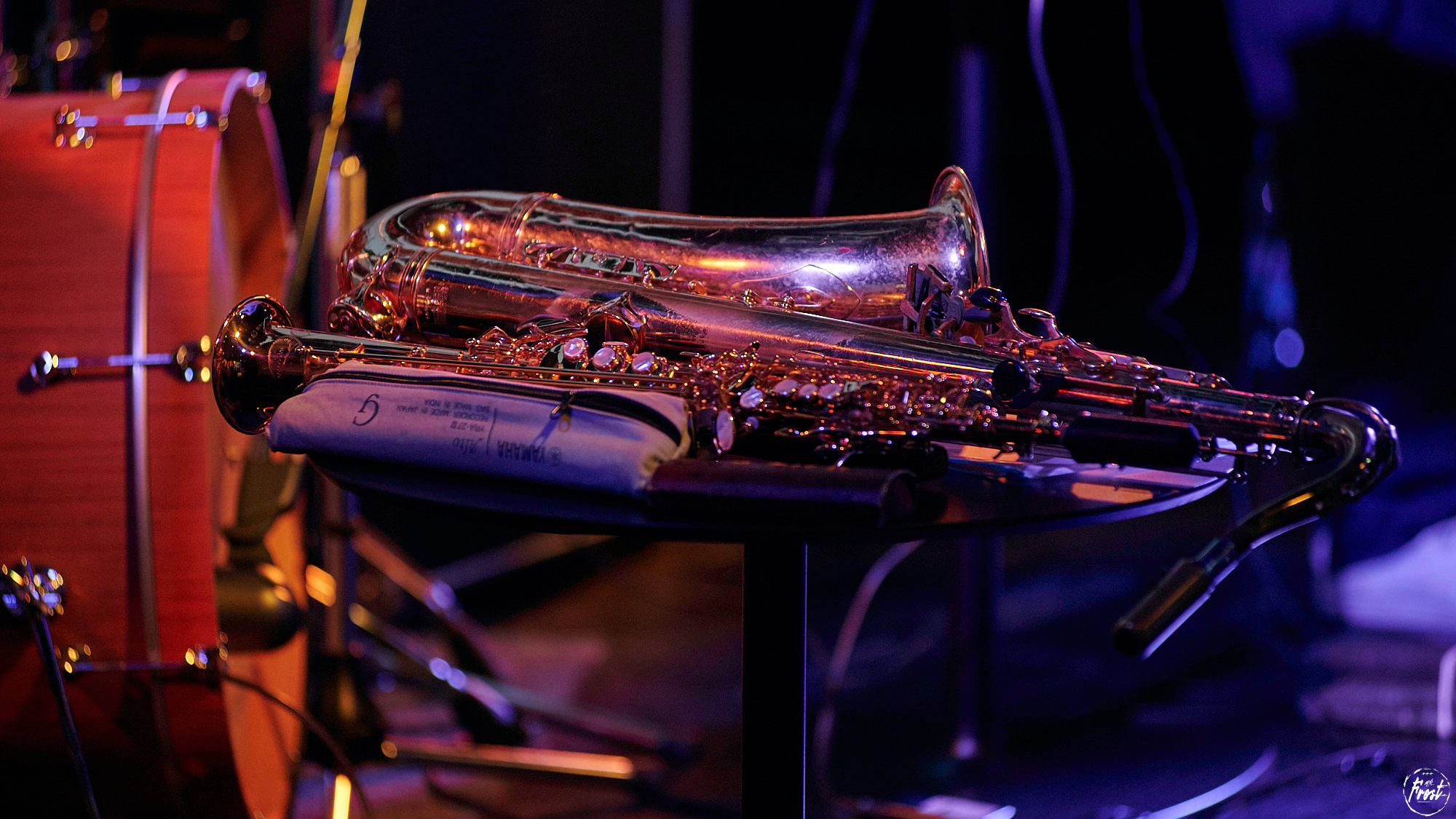 Квартет Антона Горбунова. Фотографии отовсюду и обо всем