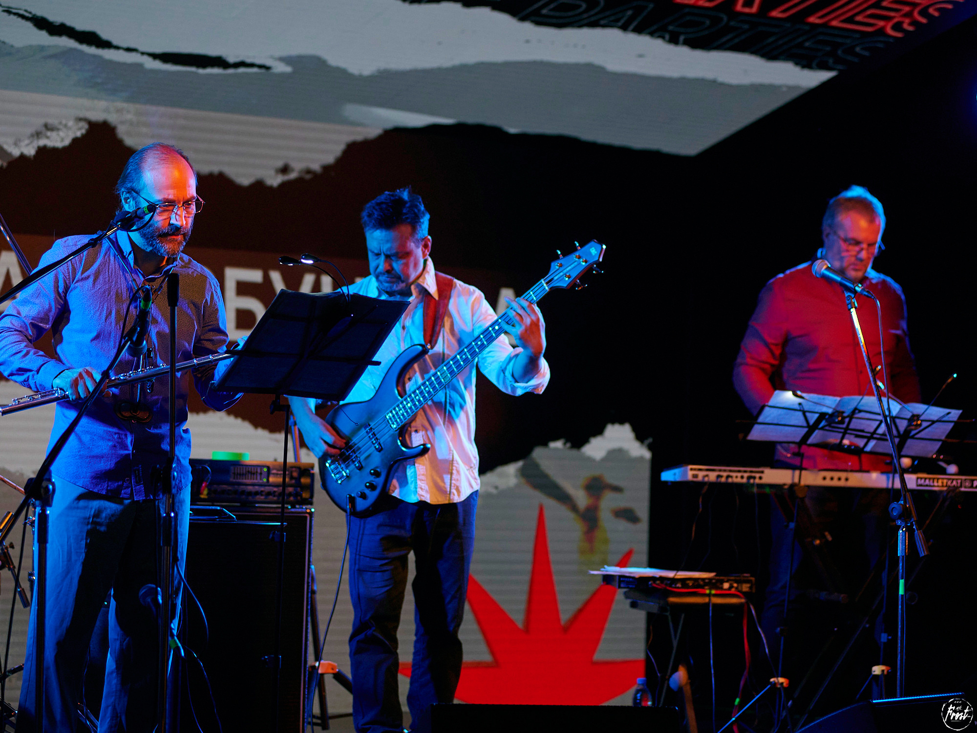 Квартет Антона Горбунова. Фотографии отовсюду и обо всем