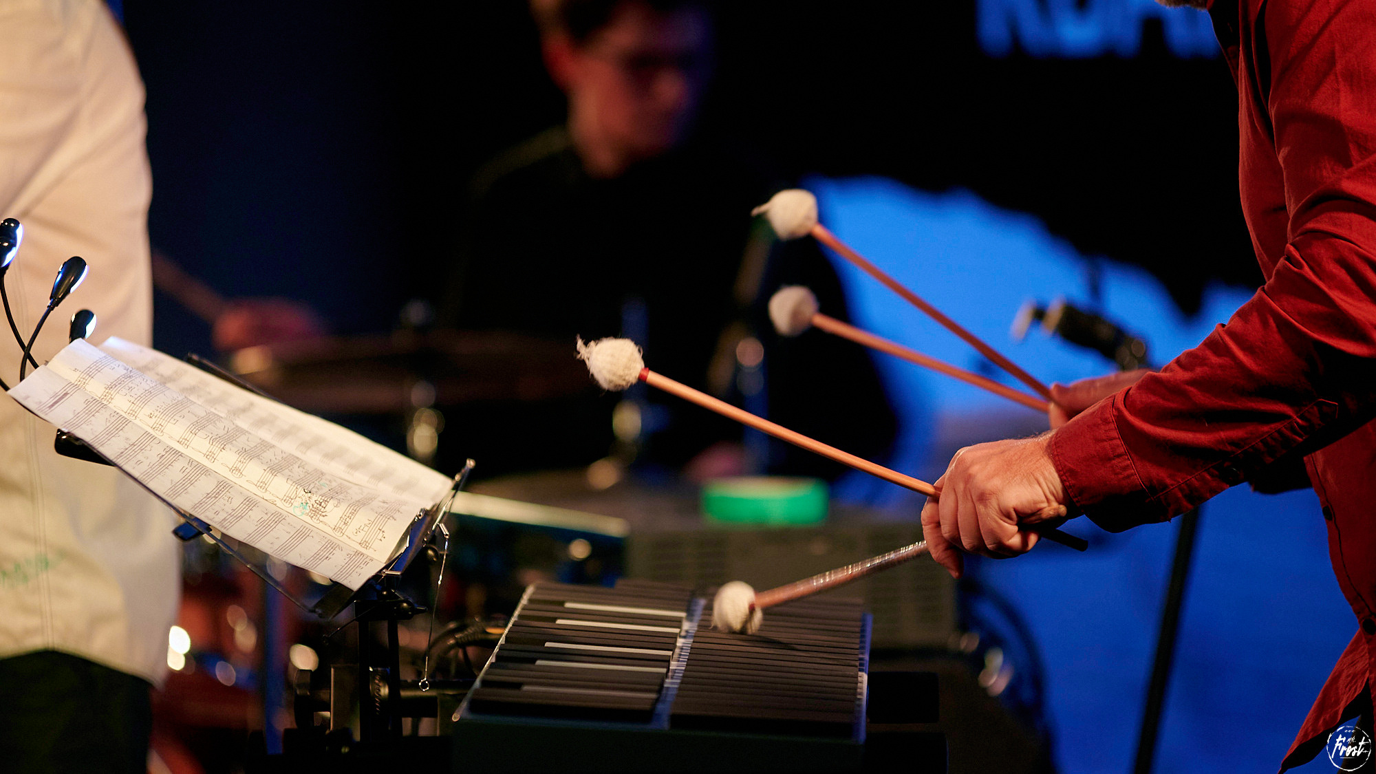 Квартет Антона Горбунова. Фотографии отовсюду и обо всем