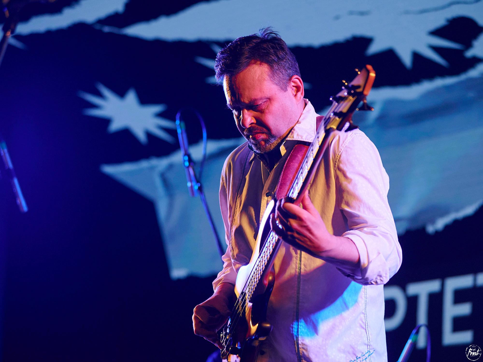 Квартет Антона Горбунова. Фотографии отовсюду и обо всем