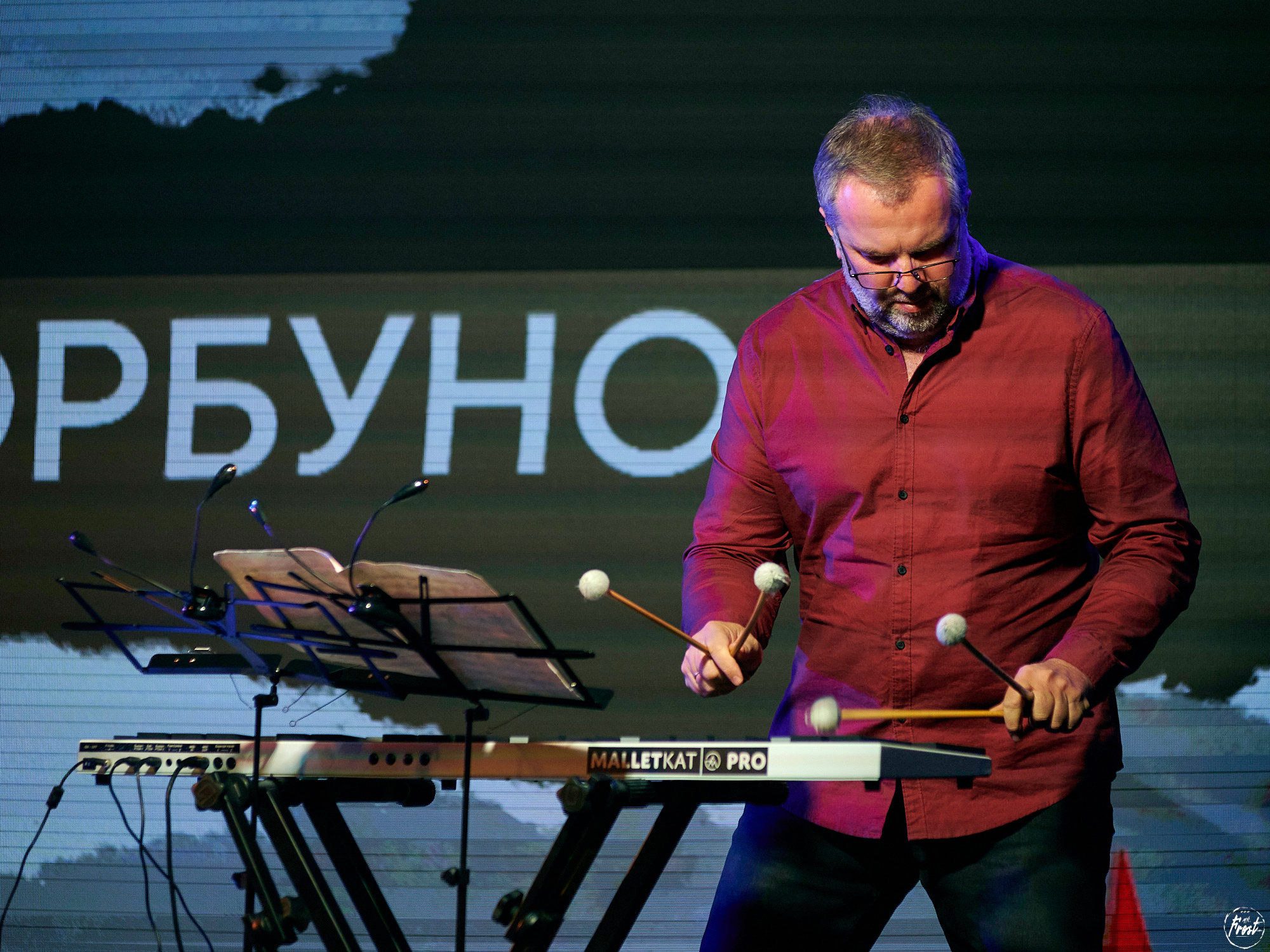 Квартет Антона Горбунова. Фотографии отовсюду и обо всем