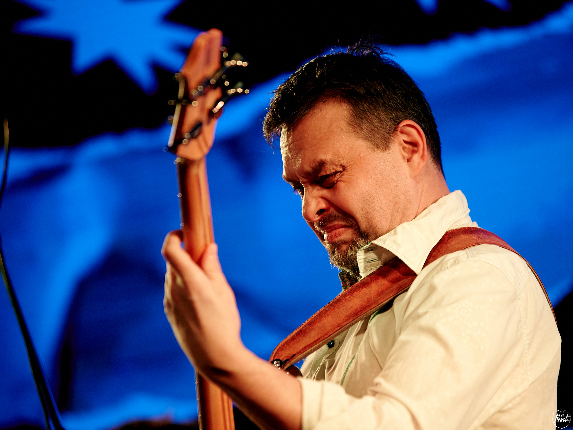 Квартет Антона Горбунова. Фотографии отовсюду и обо всем