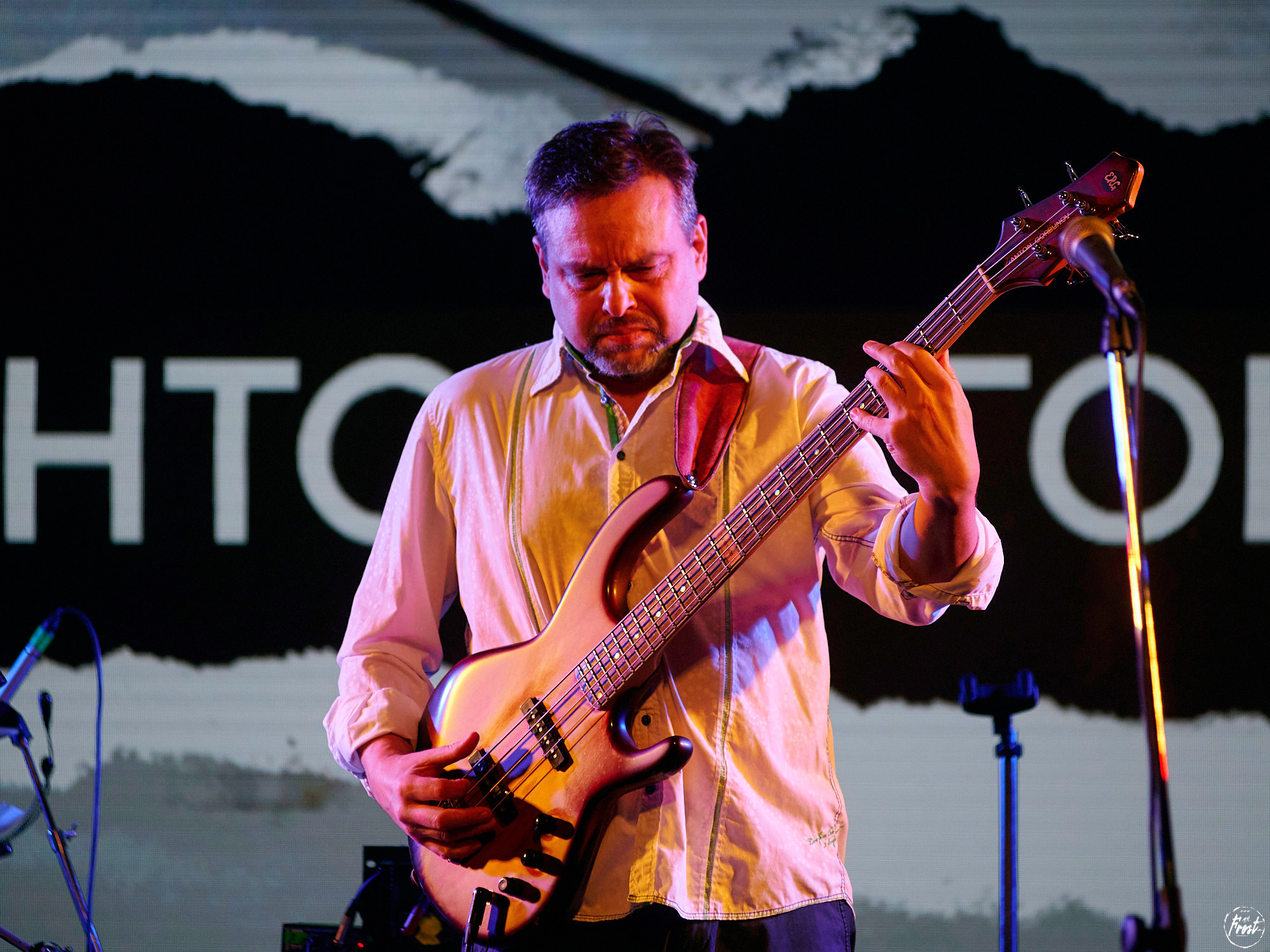 Квартет Антона Горбунова. Фотографии отовсюду и обо всем