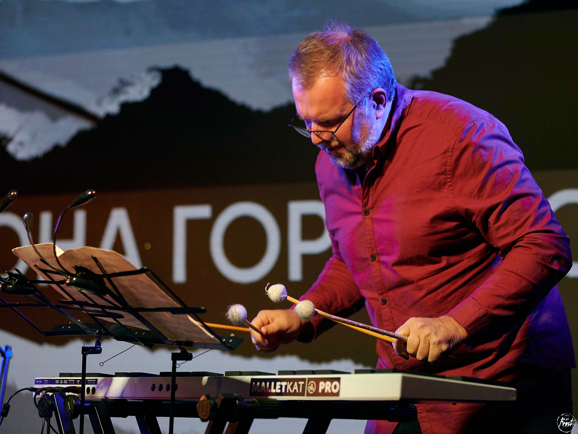 Квартет Антона Горбунова. Фотографии отовсюду и обо всем