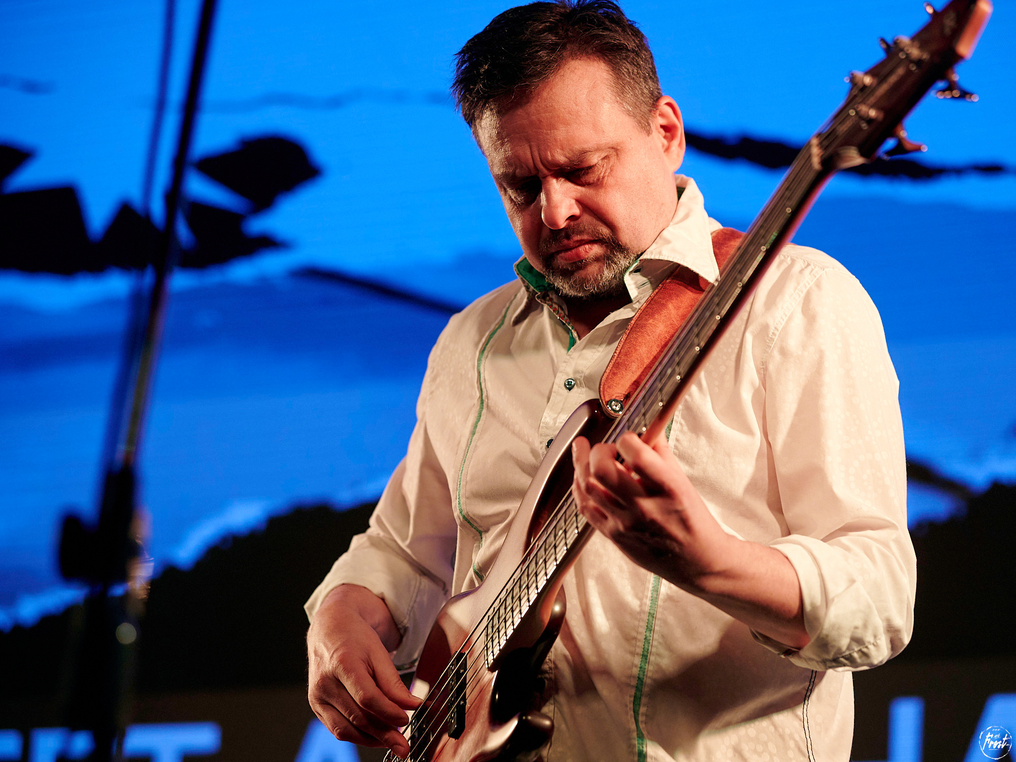 Квартет Антона Горбунова. Фотографии отовсюду и обо всем