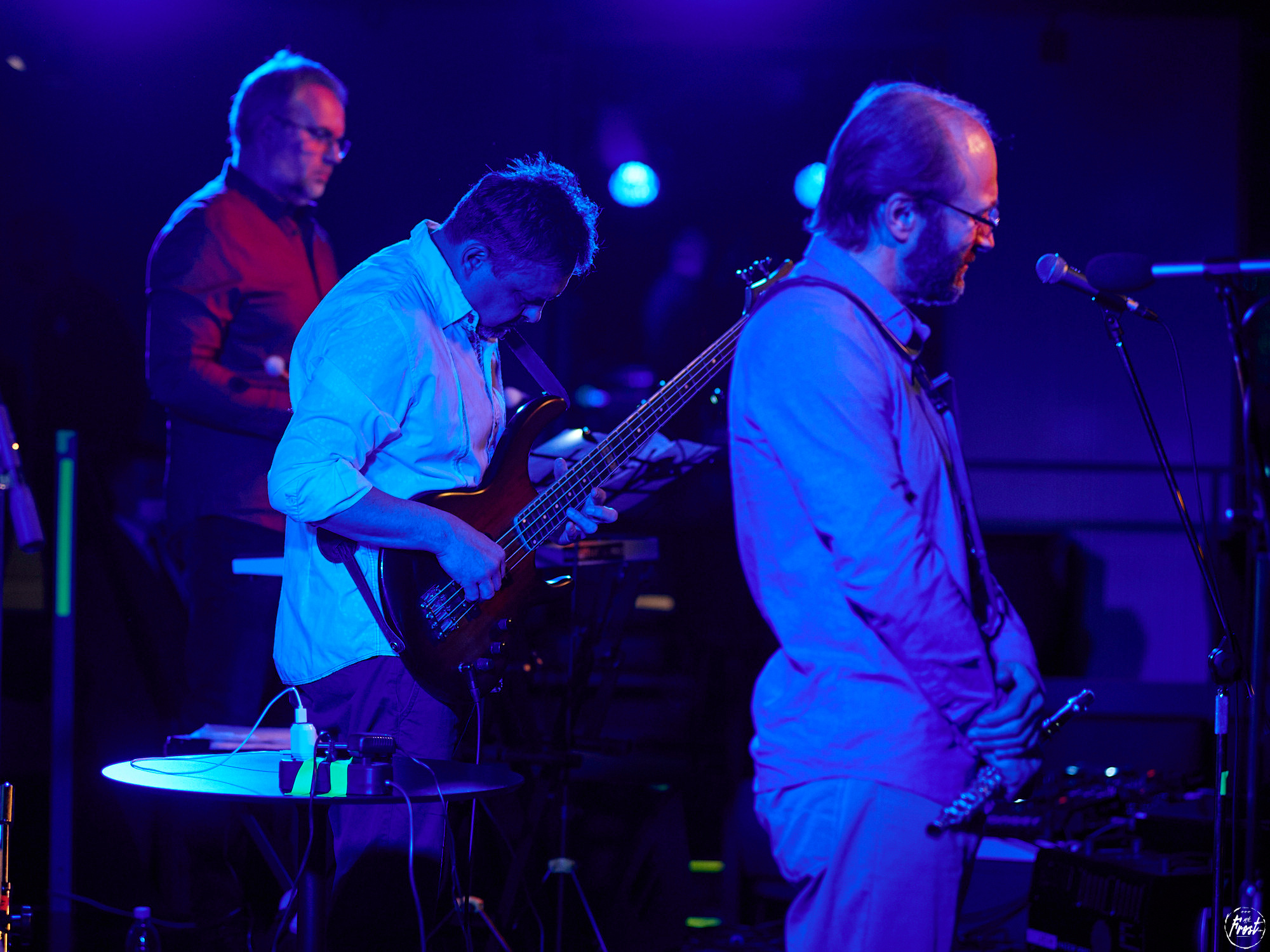 Квартет Антона Горбунова. Фотографии отовсюду и обо всем