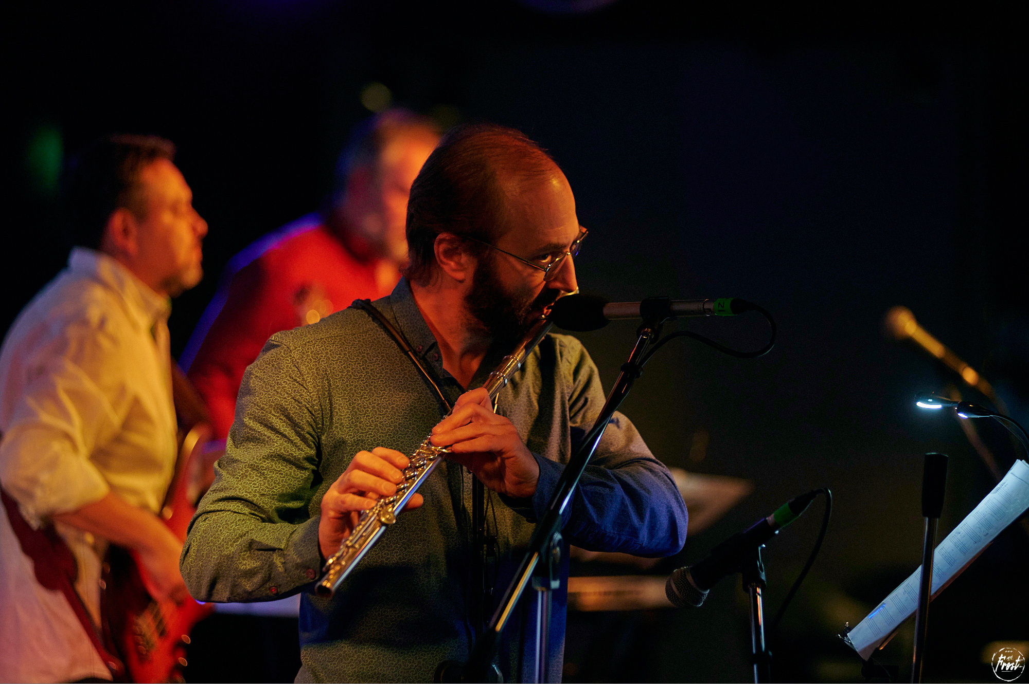 Квартет Антона Горбунова. Фотографии отовсюду и обо всем